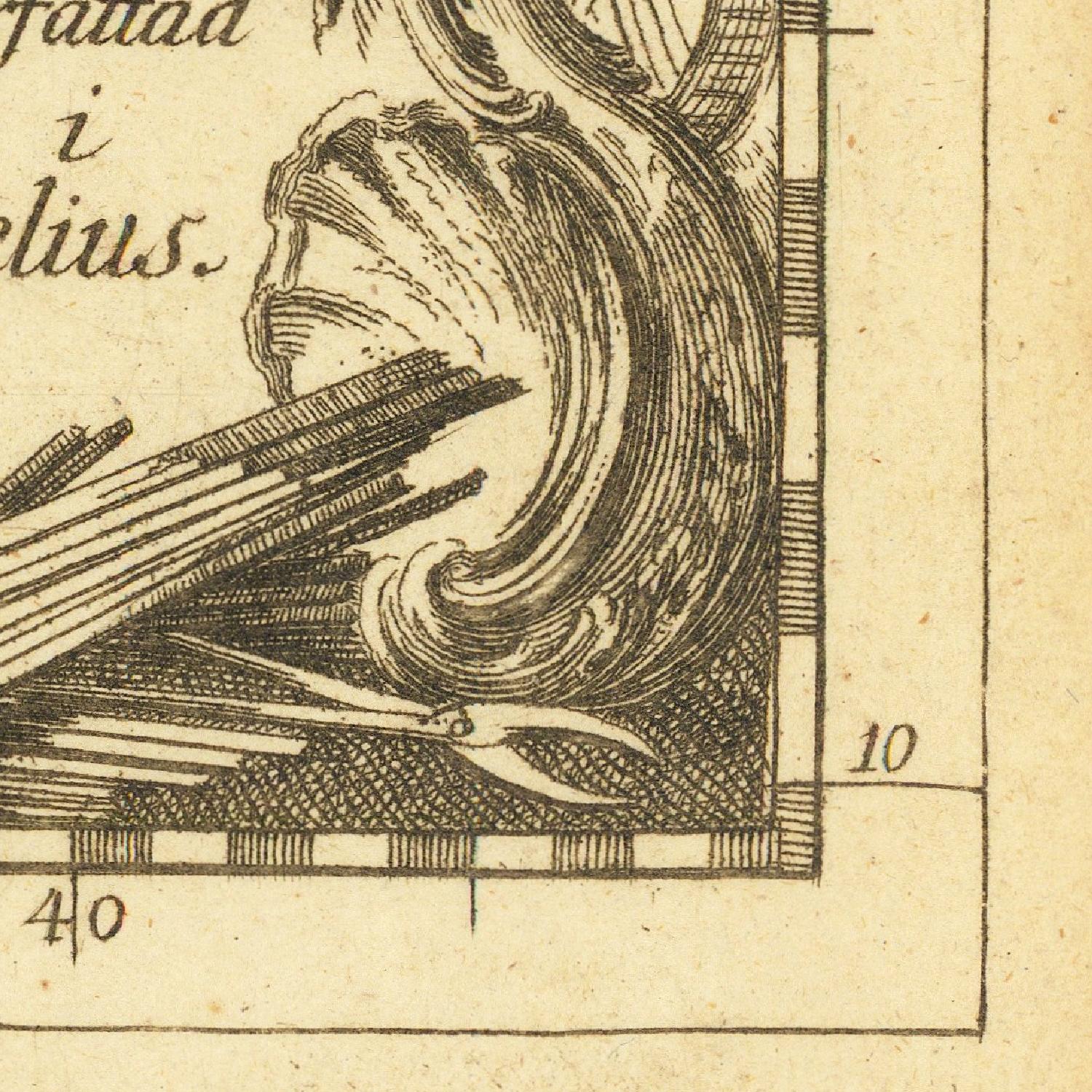 Vintage illustration of a shell and sticks on a textured background