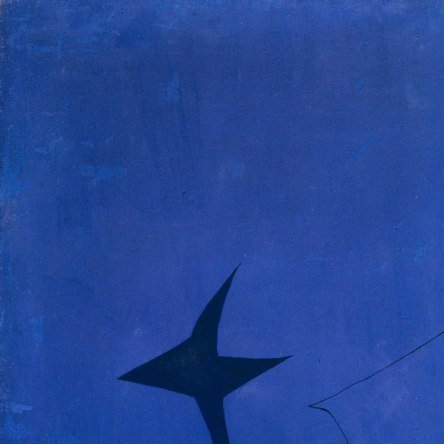 Abstract black star-like shape on a textured blue background