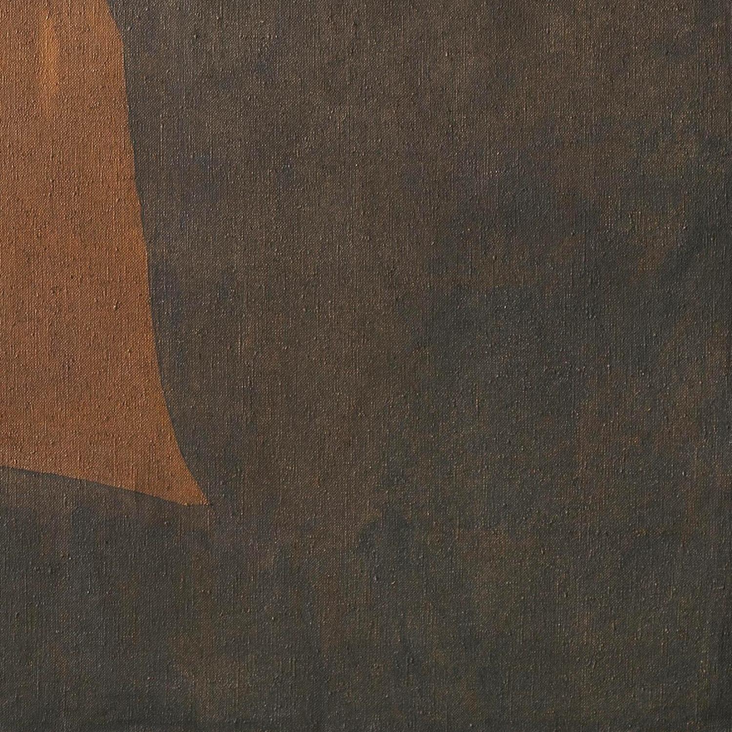 Close-up of brown leather texture