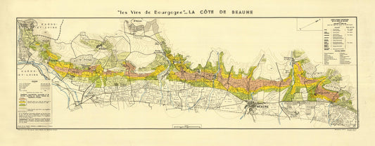 Vintage map of a coastal area with color-coded regions on a yellow background