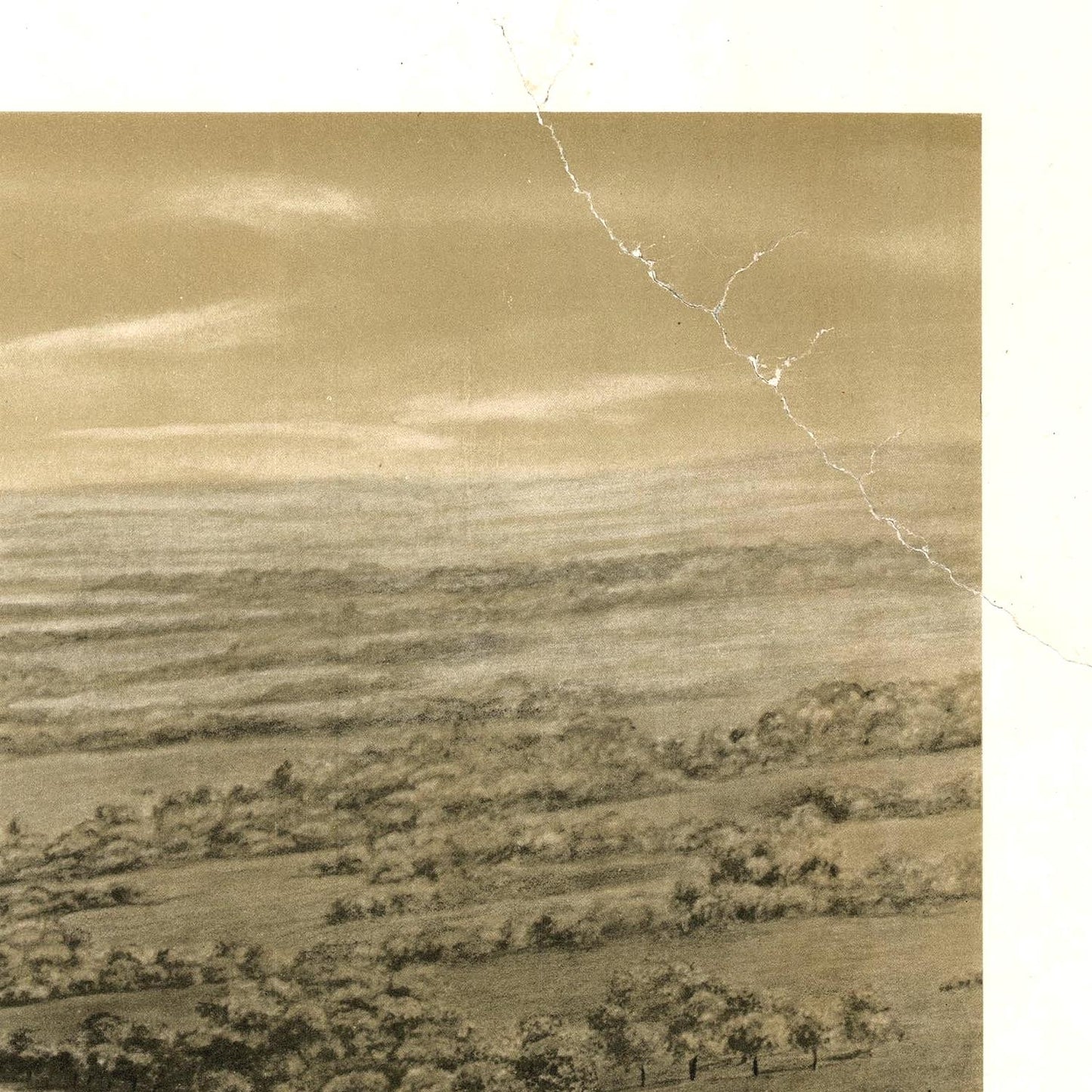 Aerial view of a landscape with fields and trees, showing signs of aging.