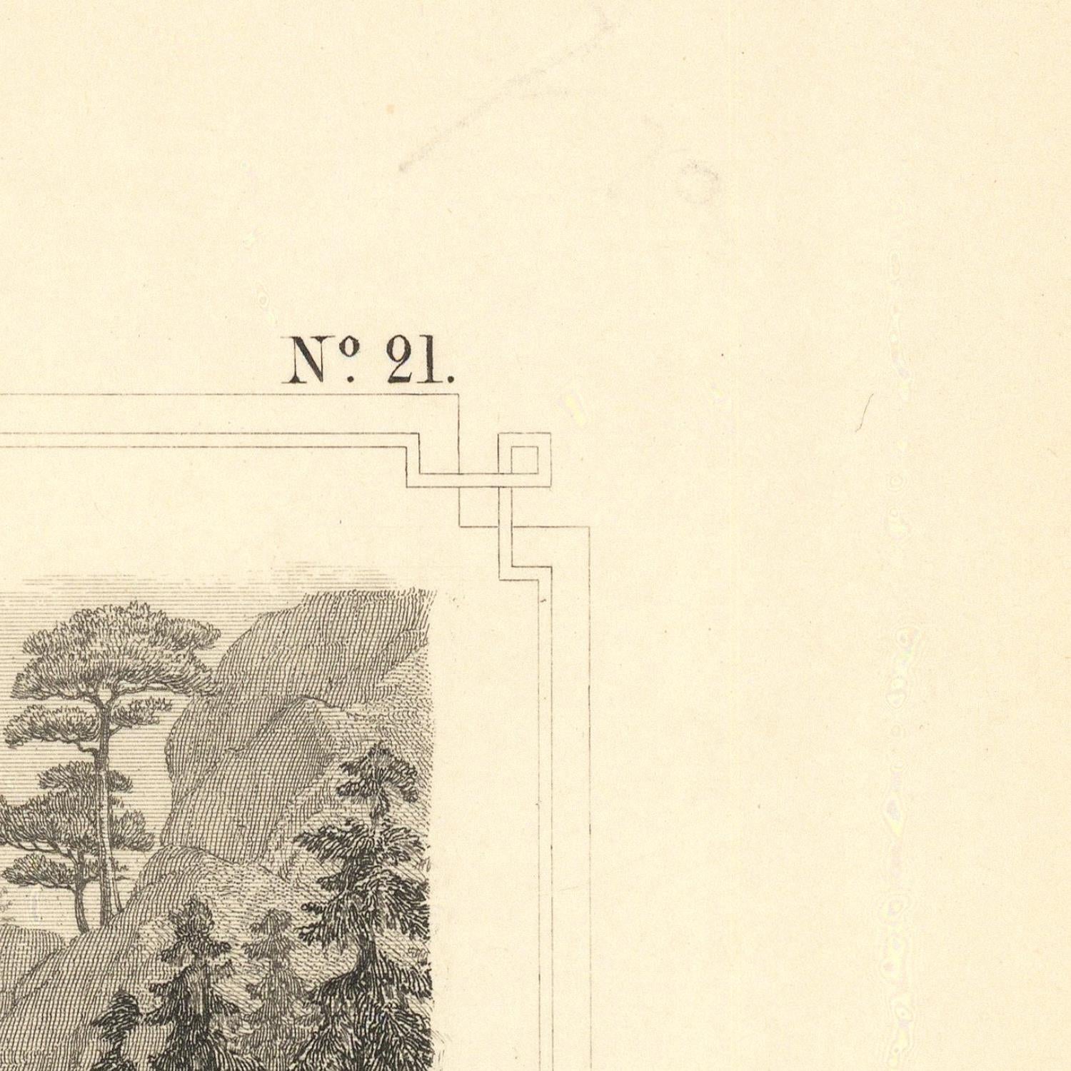 Vintage-style illustration of a landscape with trees and a mountain, labeled 'No. 21'.