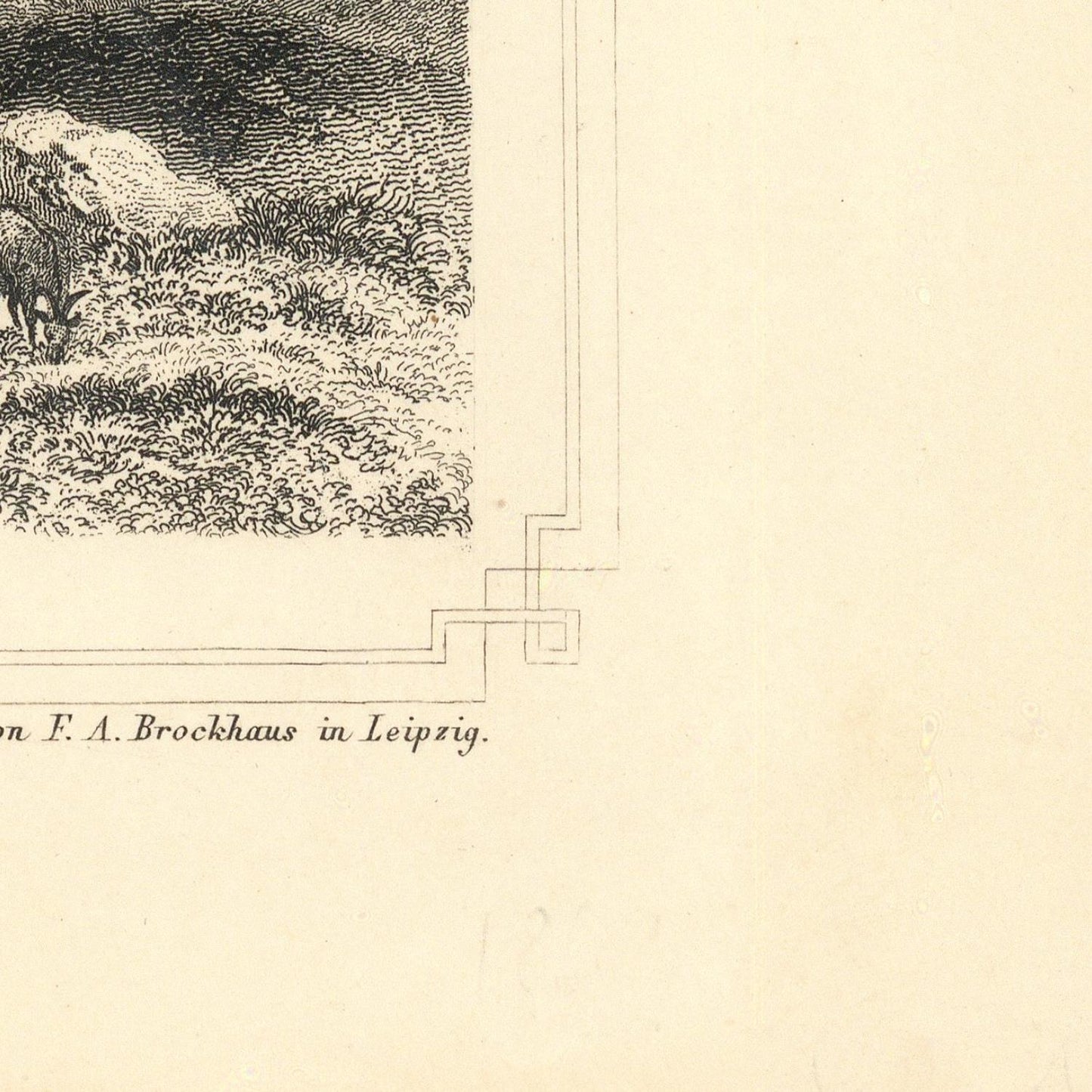 Vintage illustration of a landscape with text at the bottom on a beige background