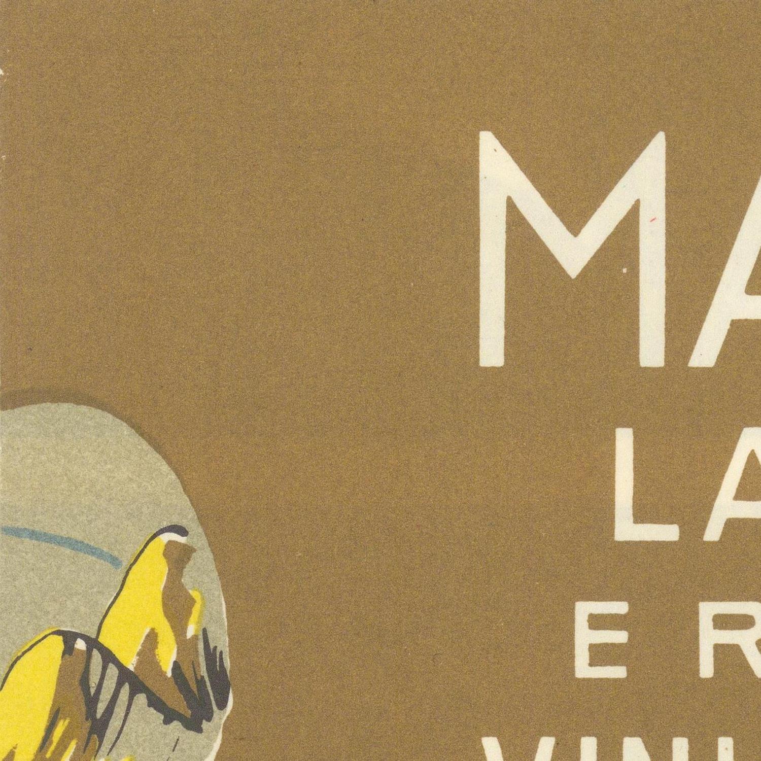 Book cover with a stylized illustration of a bird and text on a brown background