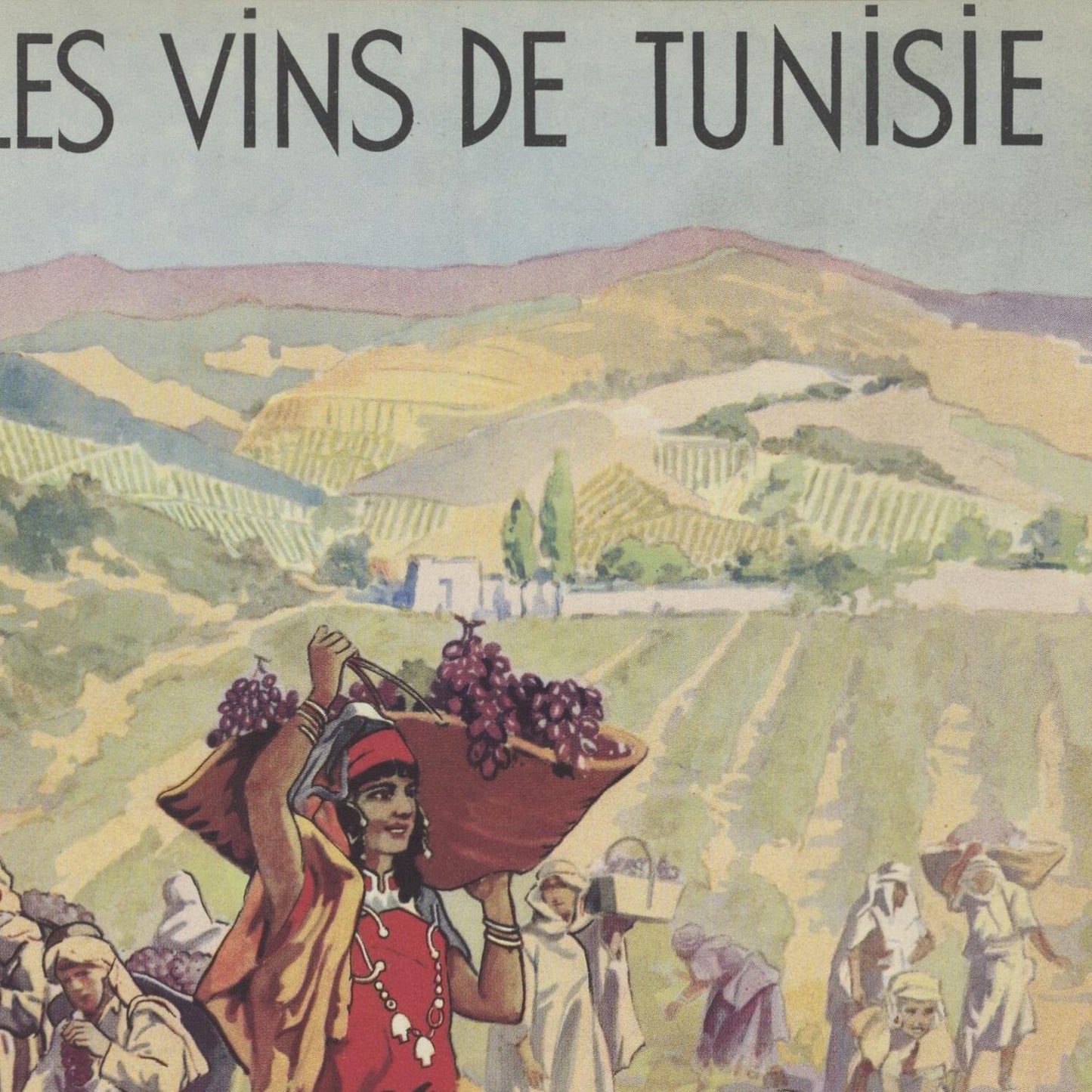 Vintage-style advertisement for Tunisian wines featuring a woman with a basket of grapes in a vineyard.