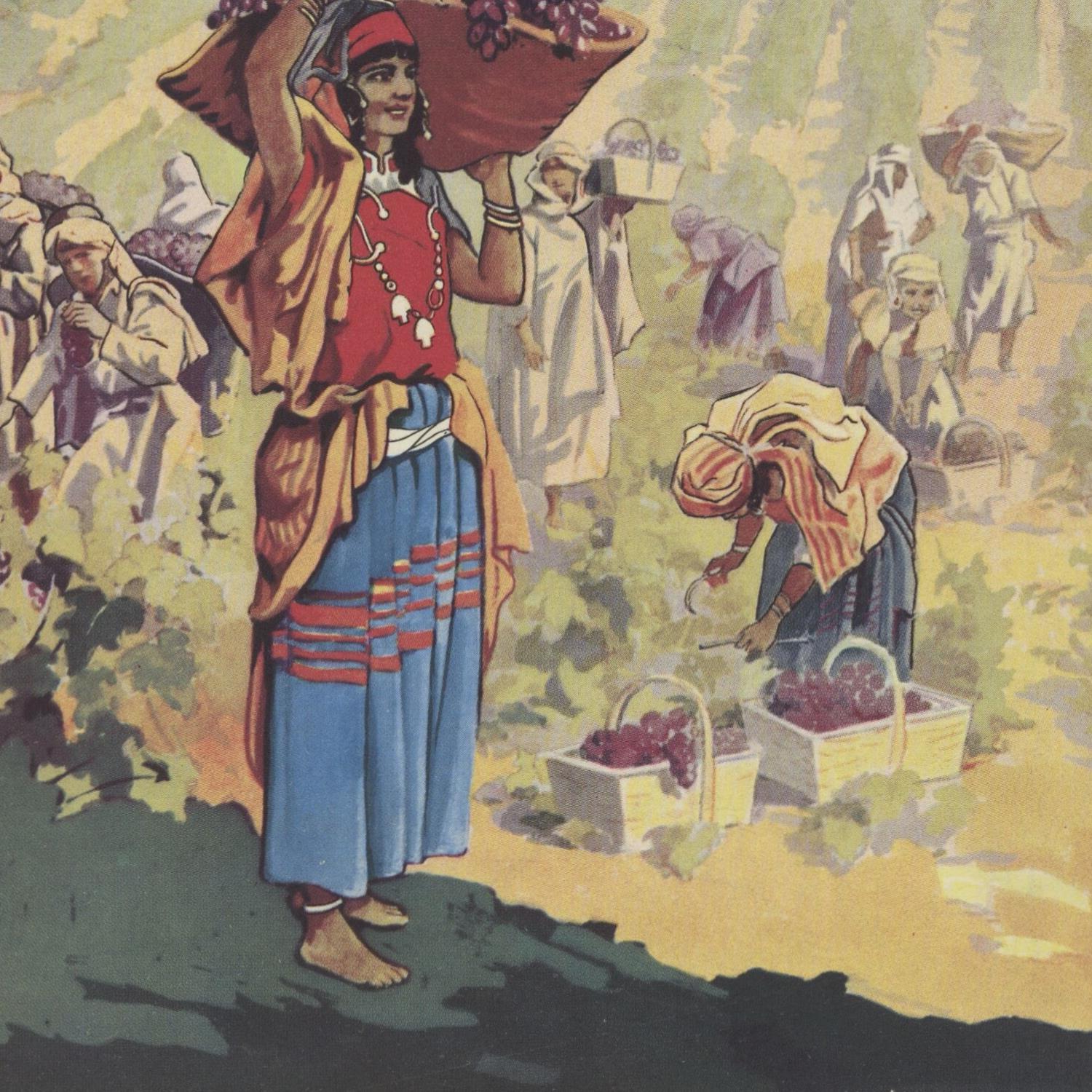 Vintage-style illustration of a woman harvesting grapes with others in a vineyard.