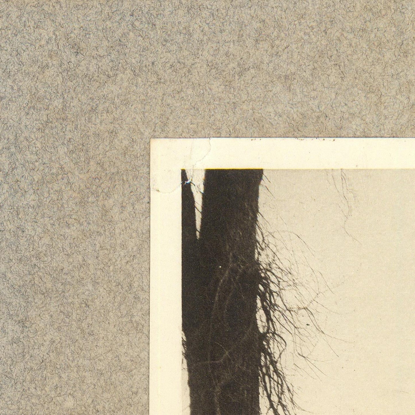 detail of the photo from the top left corner
