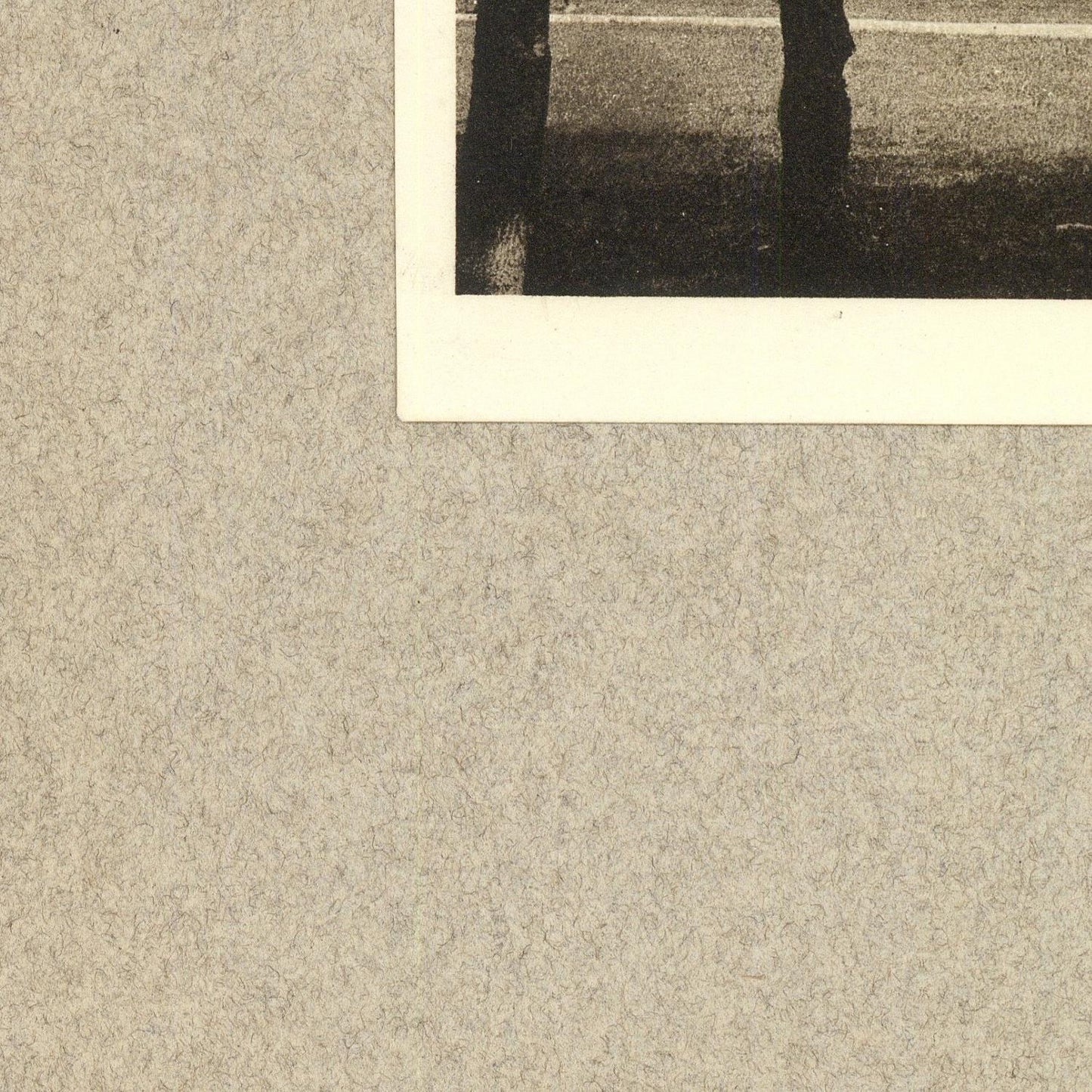 detail of the photo from the bottom left corner
