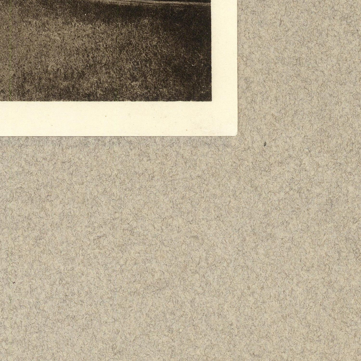 detail of the photo from the bottom right corner
