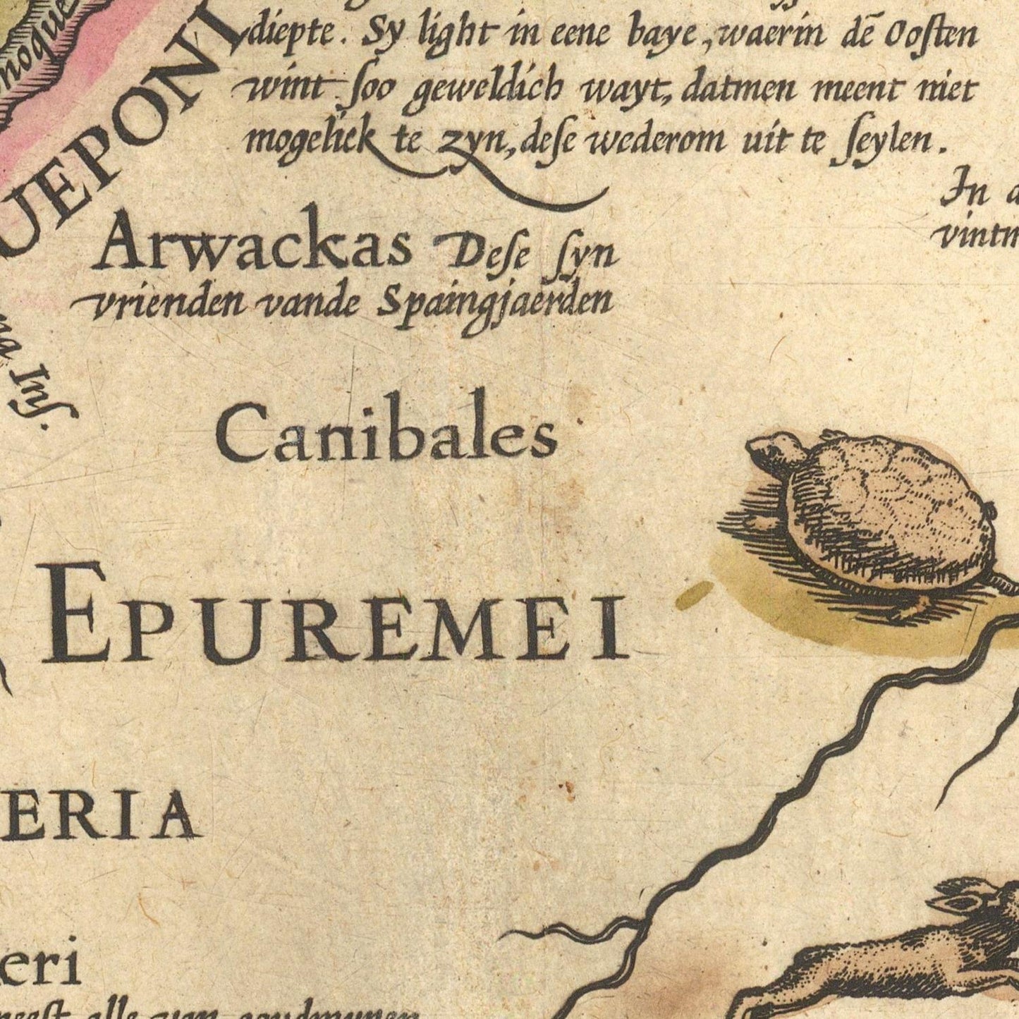 Vintage map detail with text and a turtle illustration