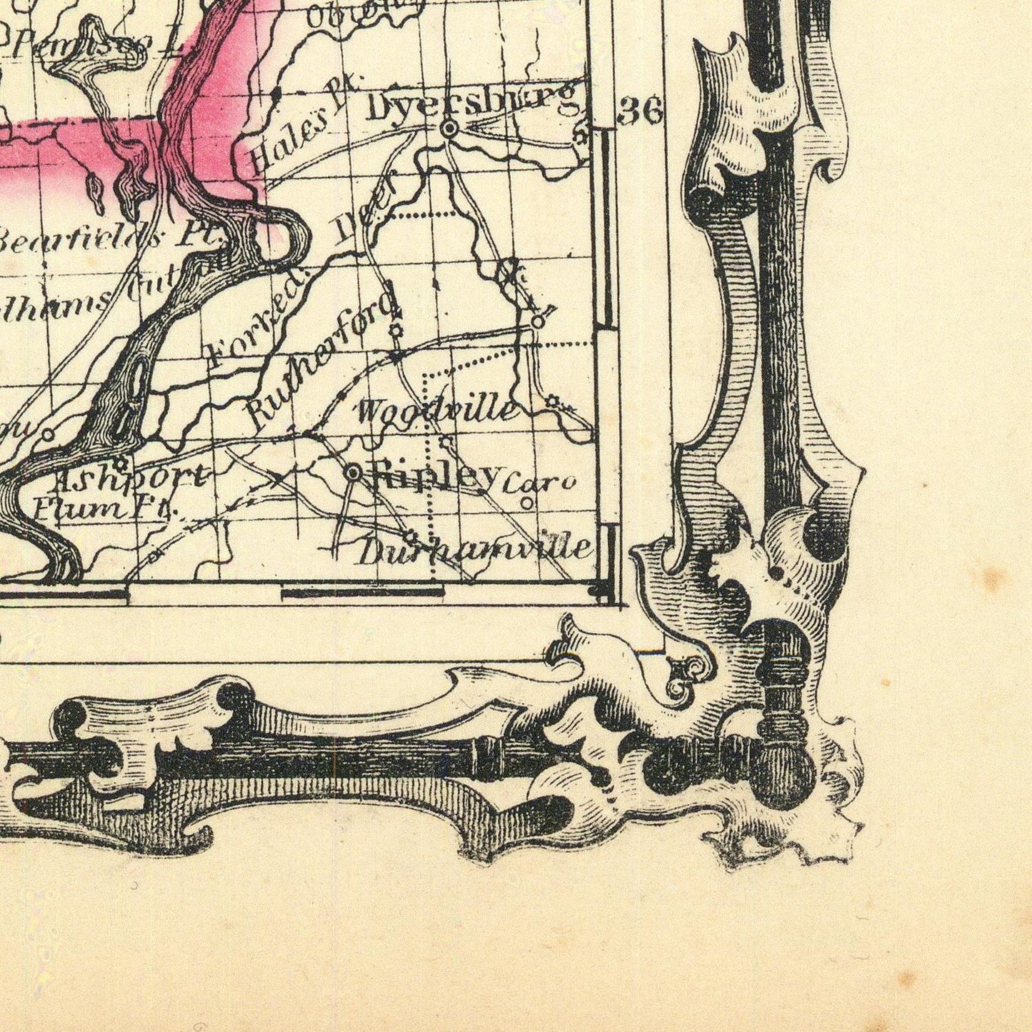Close-up of an antique-style map print showing part of a coastline with labeled places such as Diveshipe, Rotherope, and Ashport, plus an ornate decorative cartouche corner on aged beige paper.