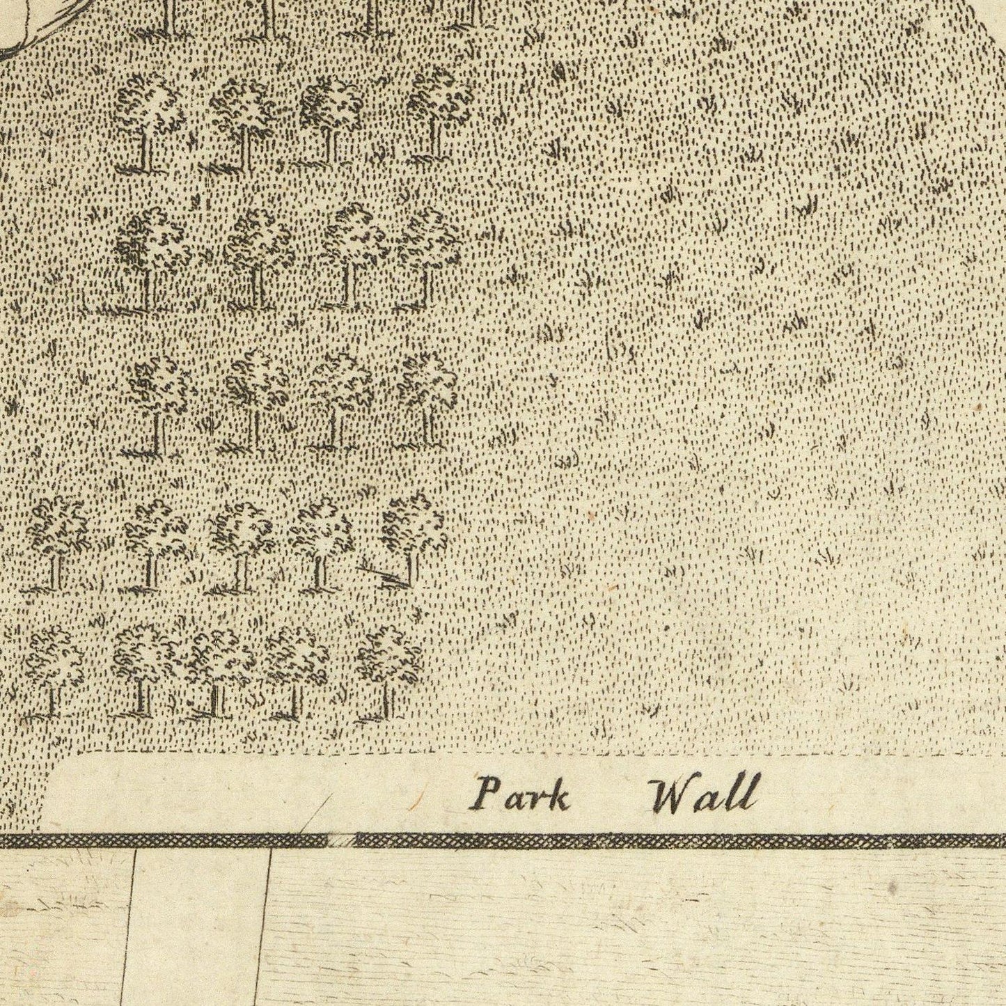 A close-up detail of an antique map or engraving showing rows of trees, a labeled 'Park Wall' line, and a light wood-textured border at the bottom.