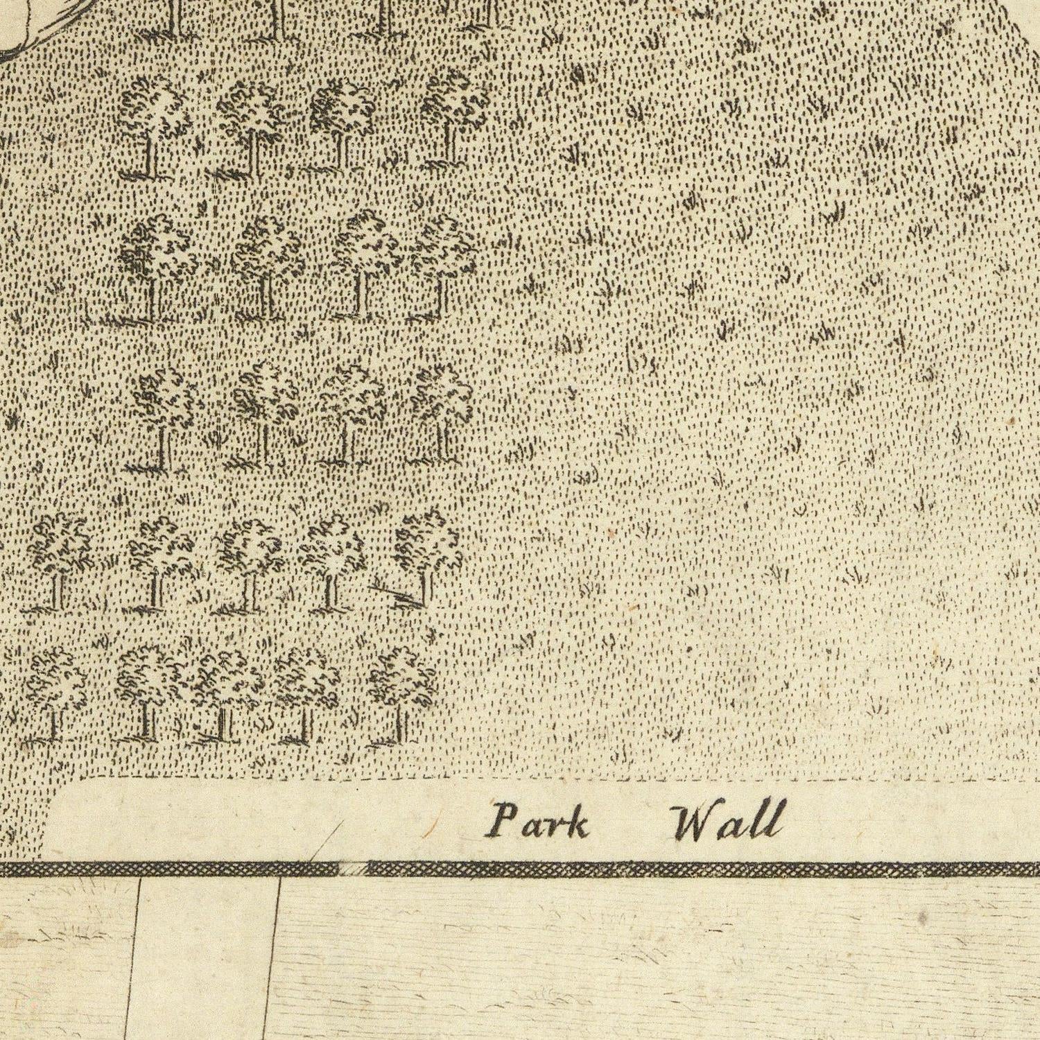 A close-up detail of an antique map or engraving showing rows of trees, a labeled 'Park Wall' line, and a light wood-textured border at the bottom.