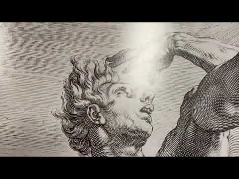 video presentation of the drawing reproduction