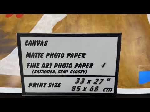 video presentation of fine art reproduction
