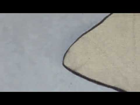 video presentation of the fine art reproduction