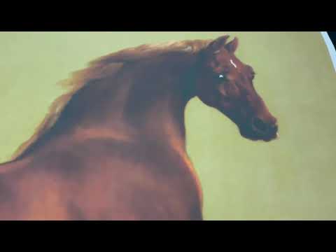 video presentation of fine art reproduction
