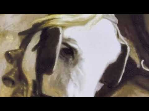 video presentation of the fine art reproduction
