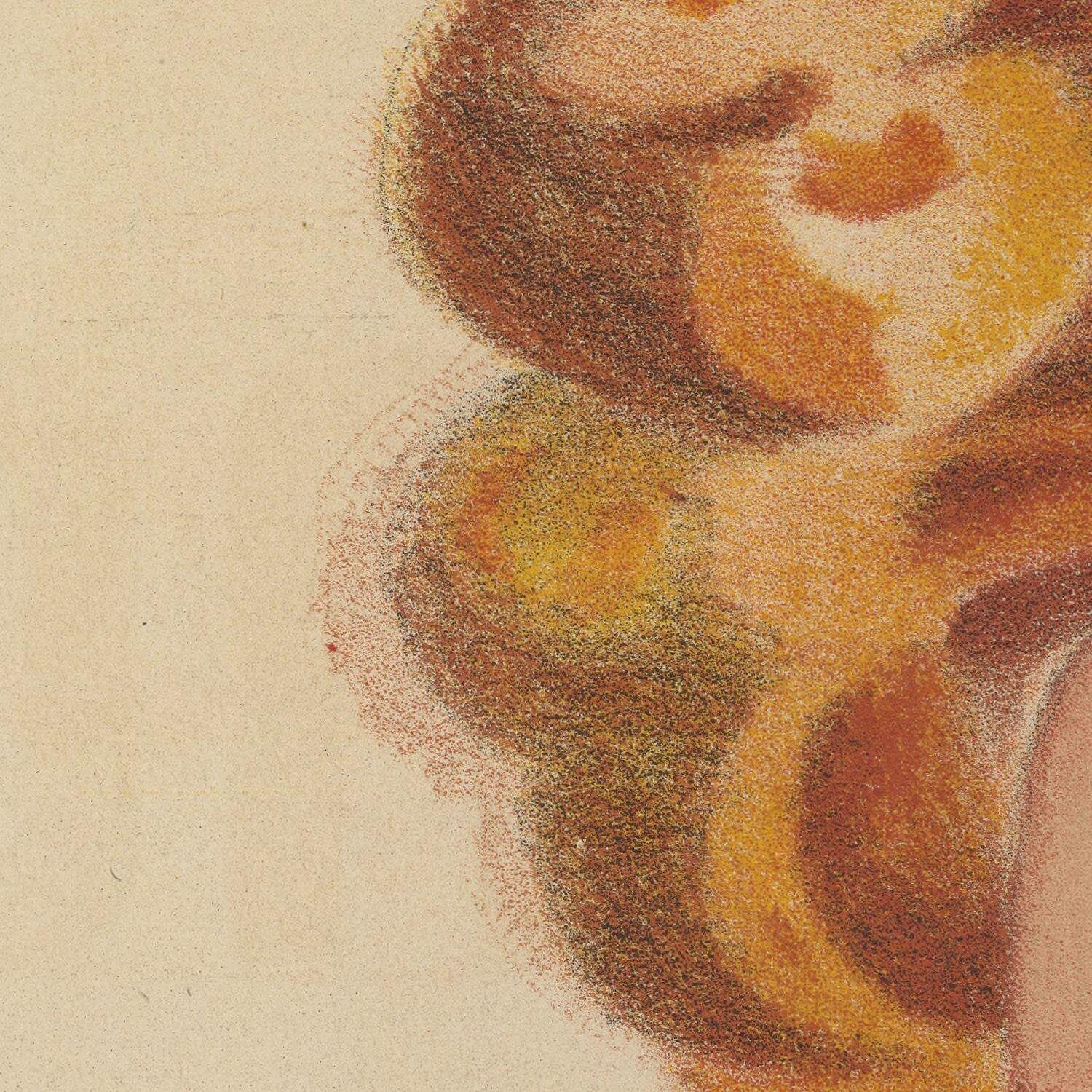 detail of the drawing reproduction from the centre left