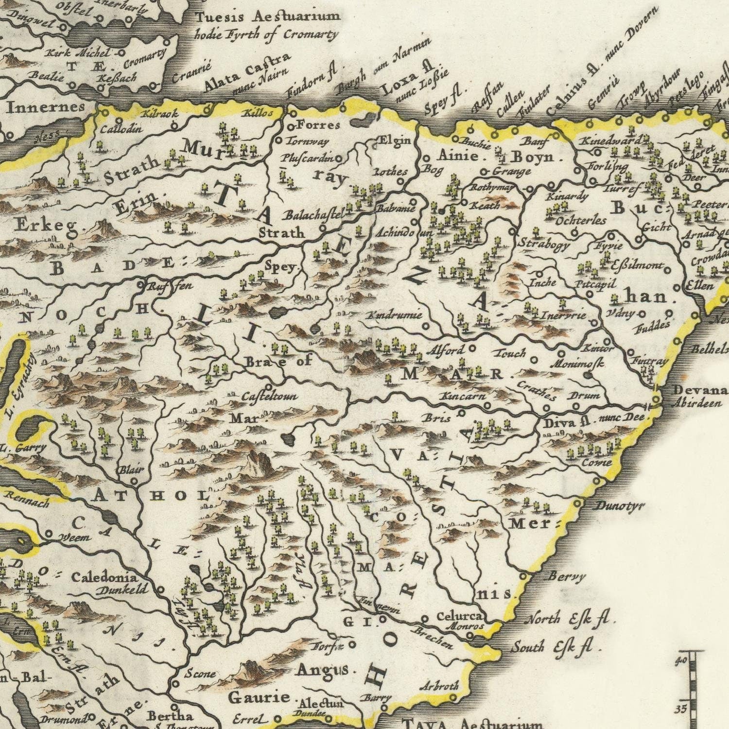 detail of the map from the centre 