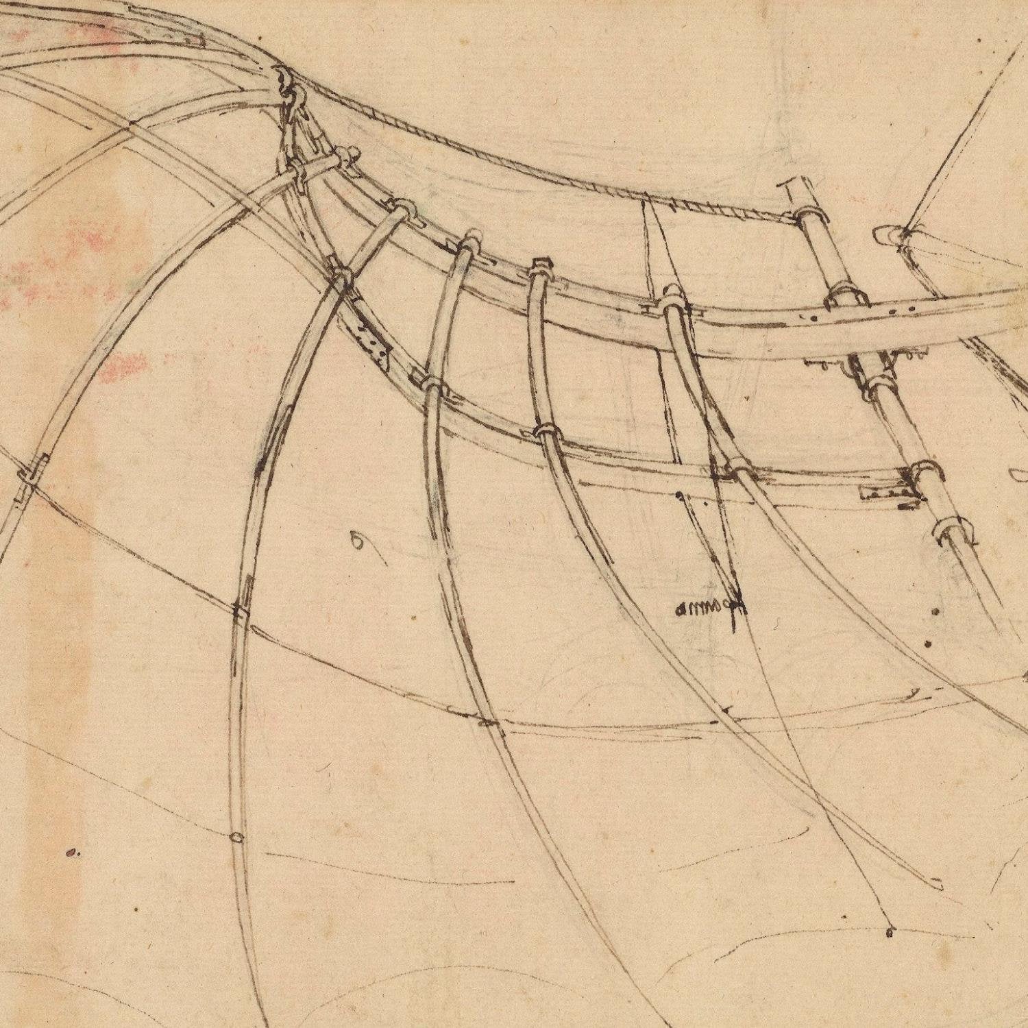 detail of the drawing reproduction from the centre 