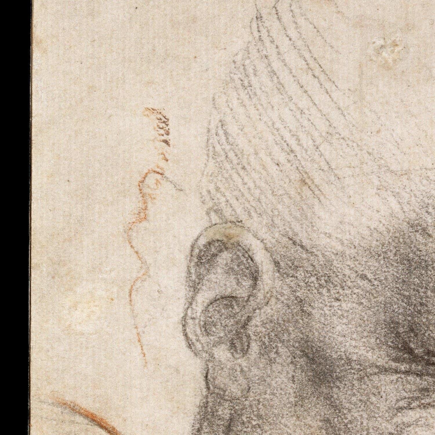 detail of the drawing reproduction from the centre left