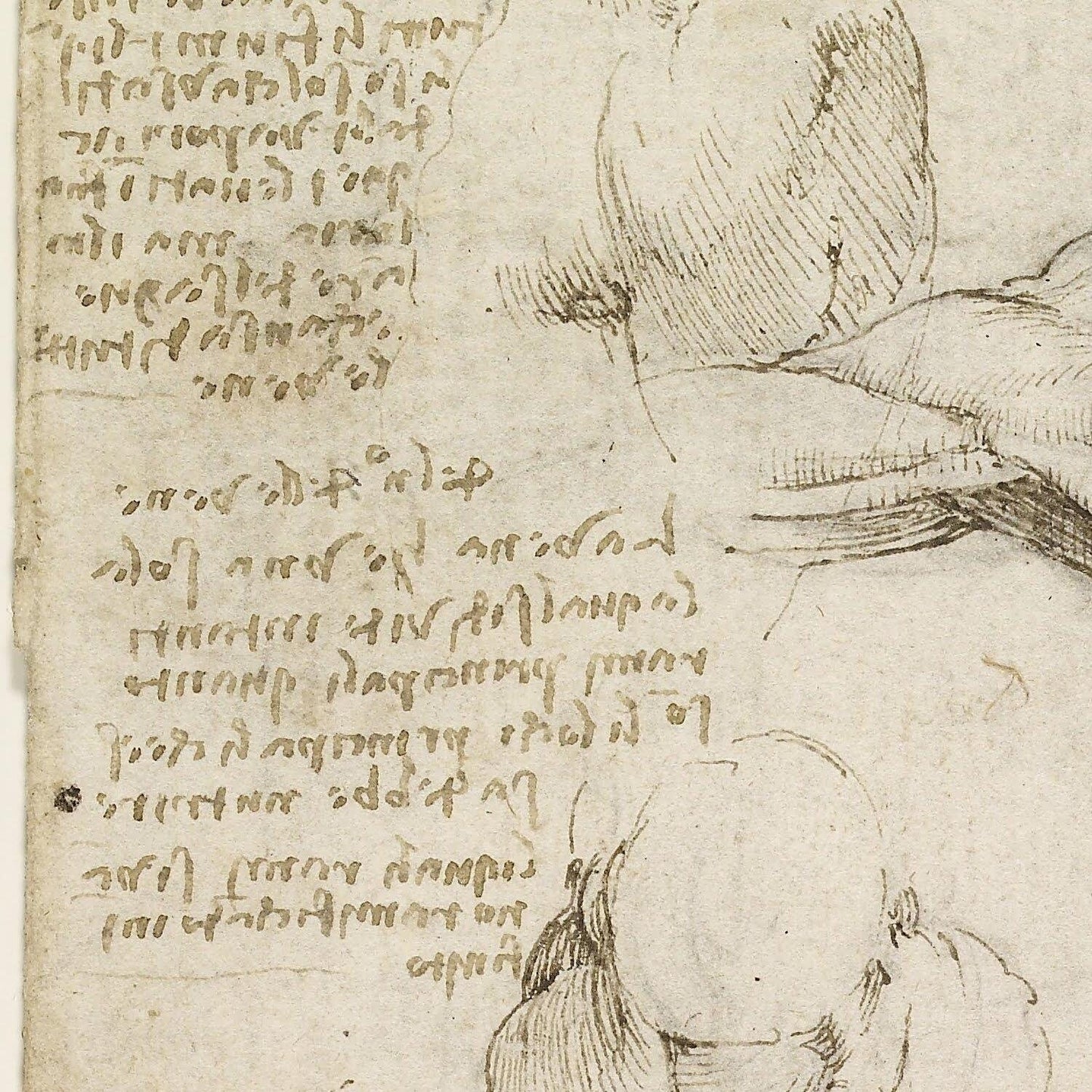 detail of the drawing reproduction from the centre left