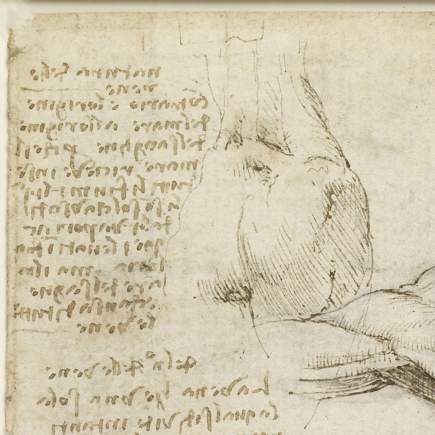 detail of the drawing reproduction from the top left corner