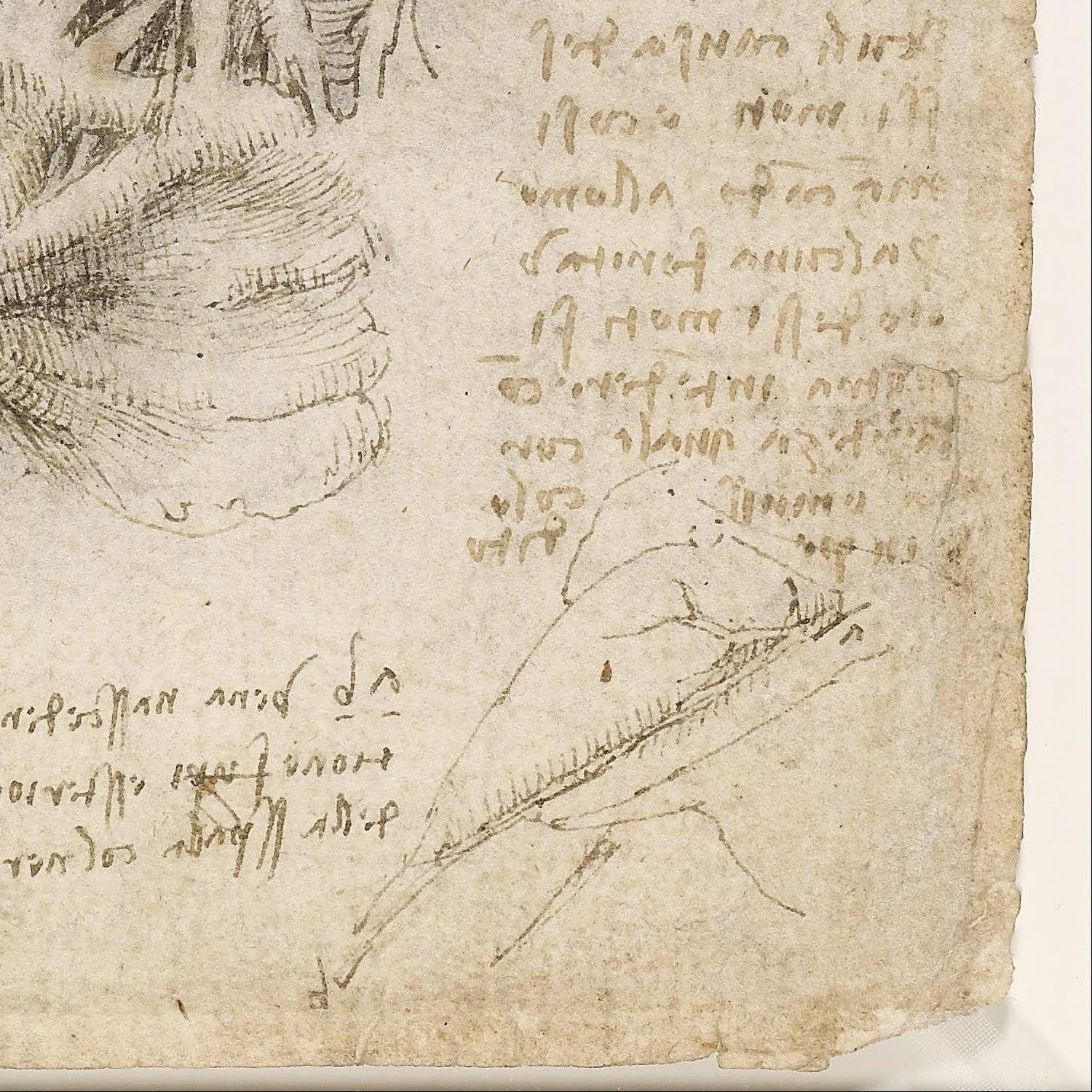 detail of the drawing reproduction from the bottom right corner