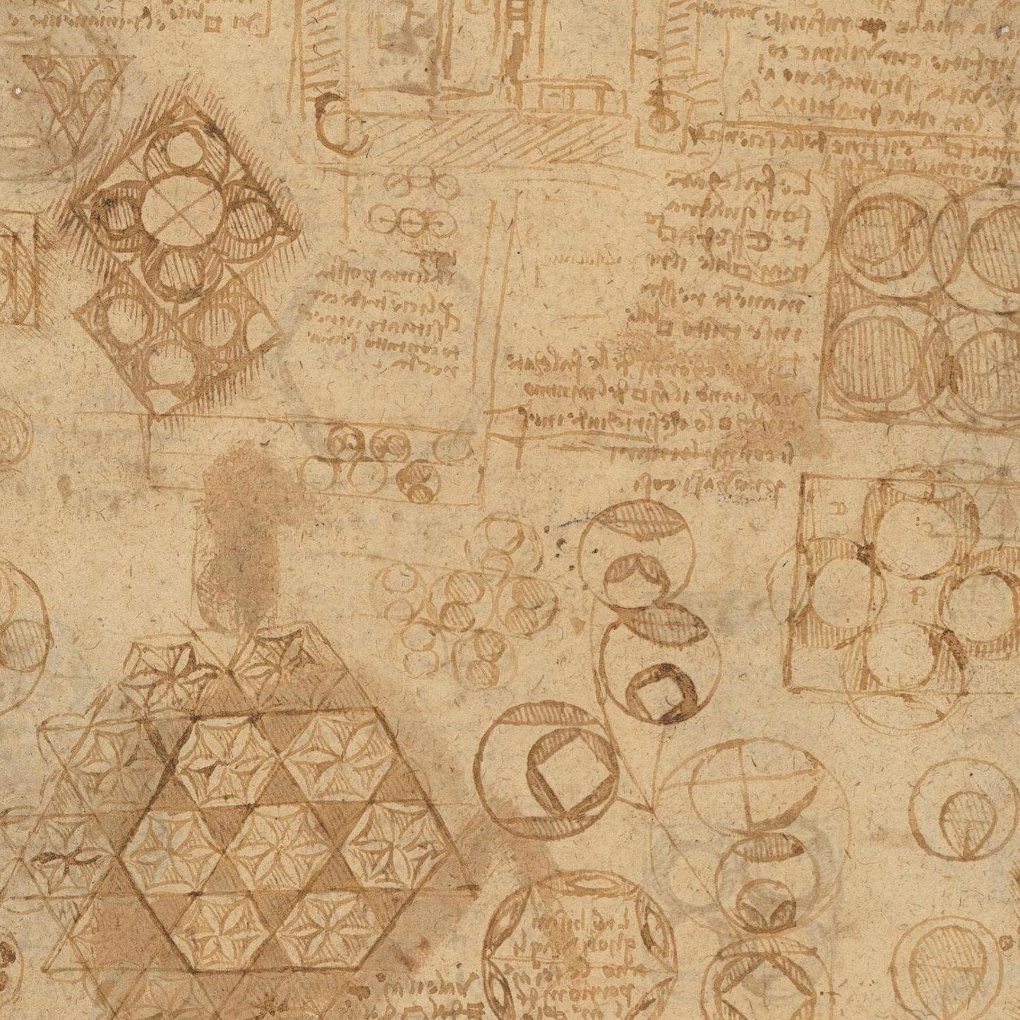 detail of the drawing reproduction from the centre 