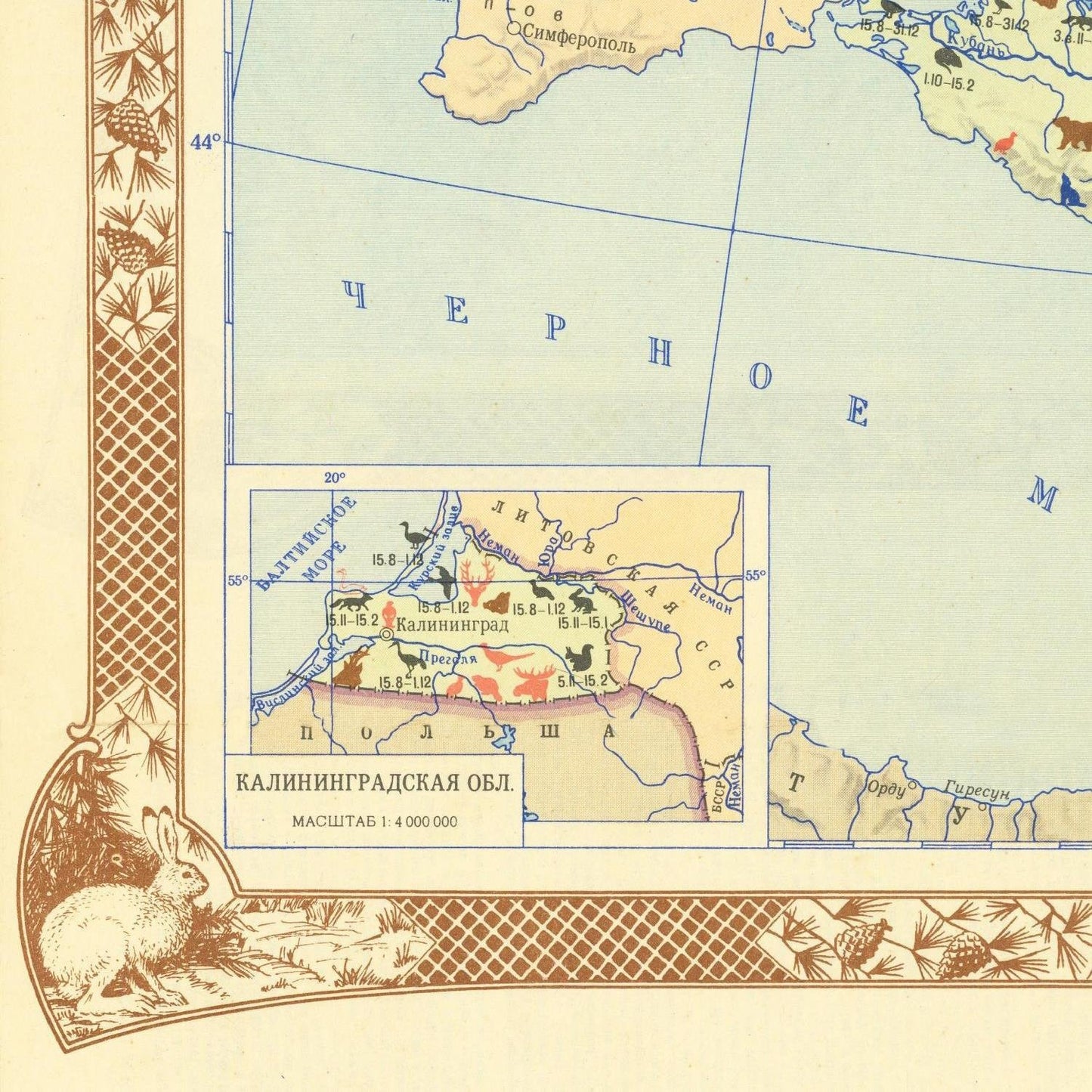 detail of the map from the bottom left corner