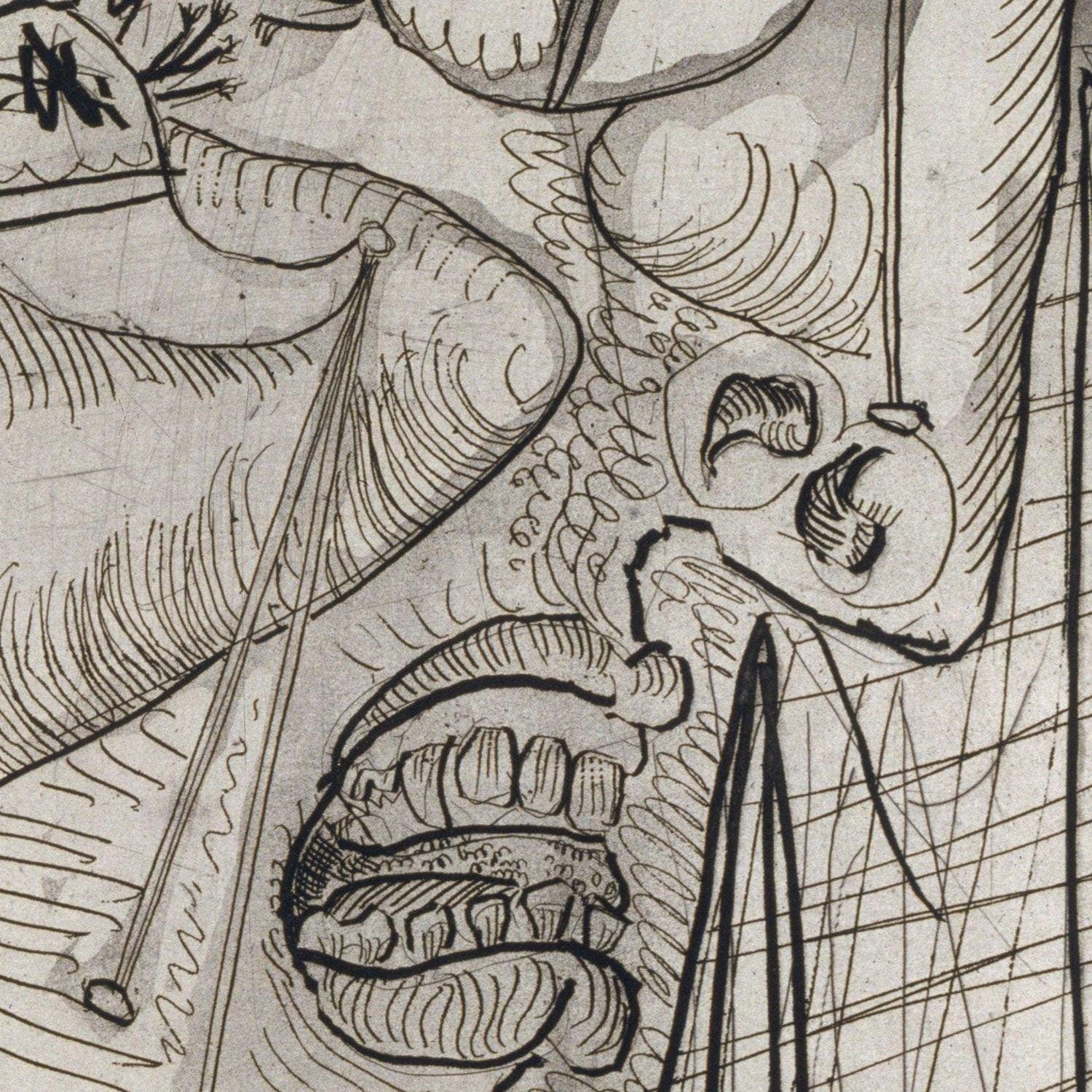 detail of the drawing reproduction from the centre 