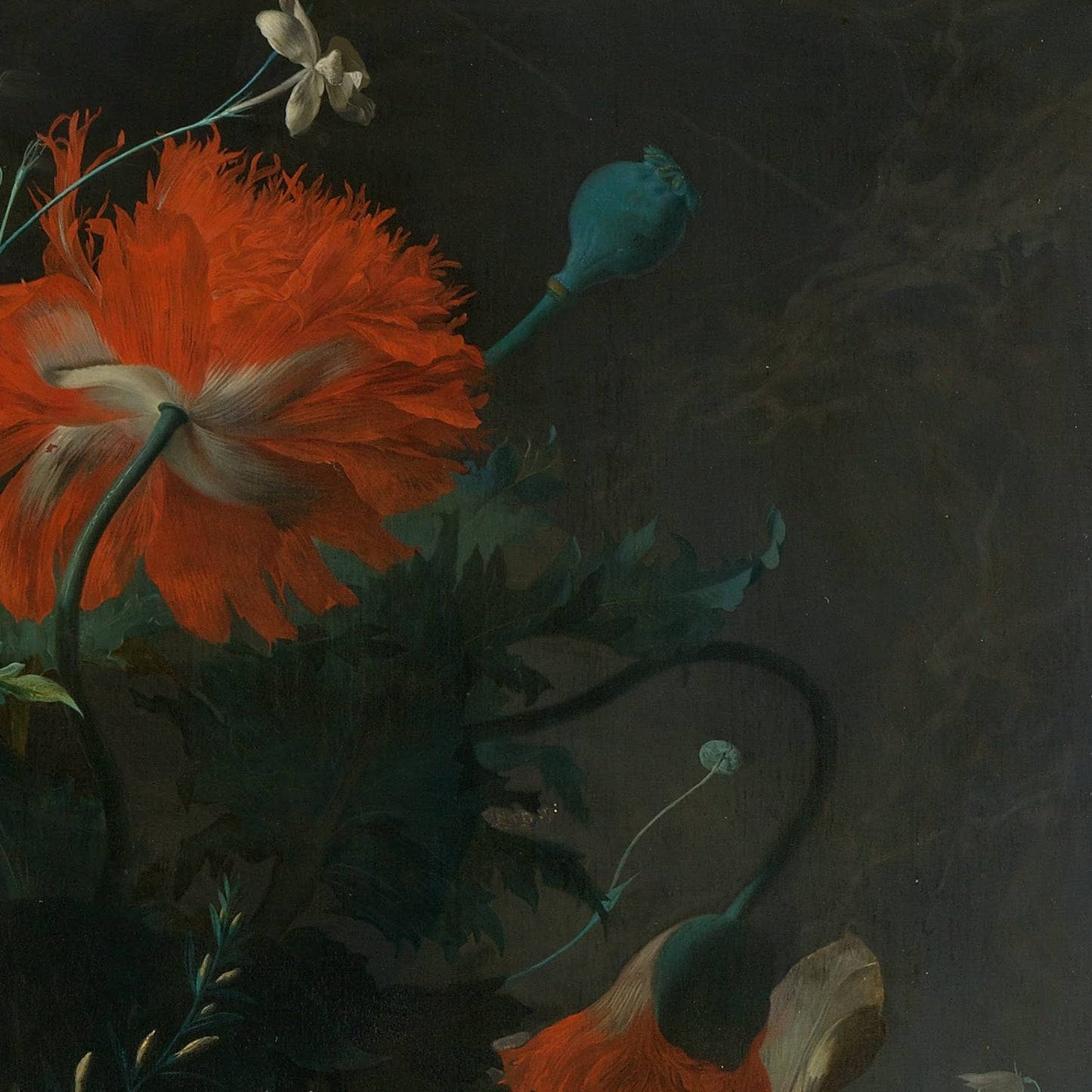 Jan Van Huysum, Still life with flowers, 1722