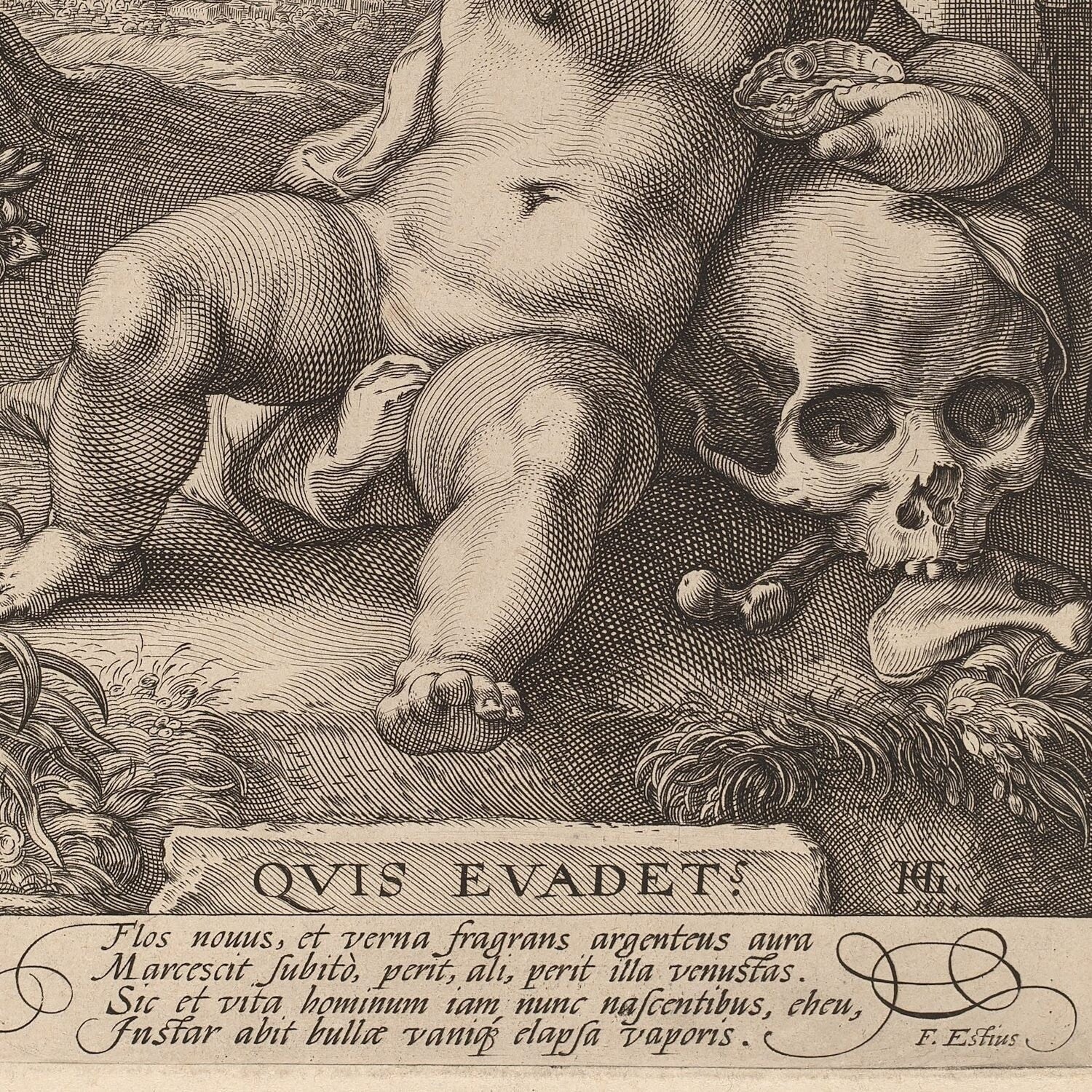 detail of the drawing reproduction from the centre left