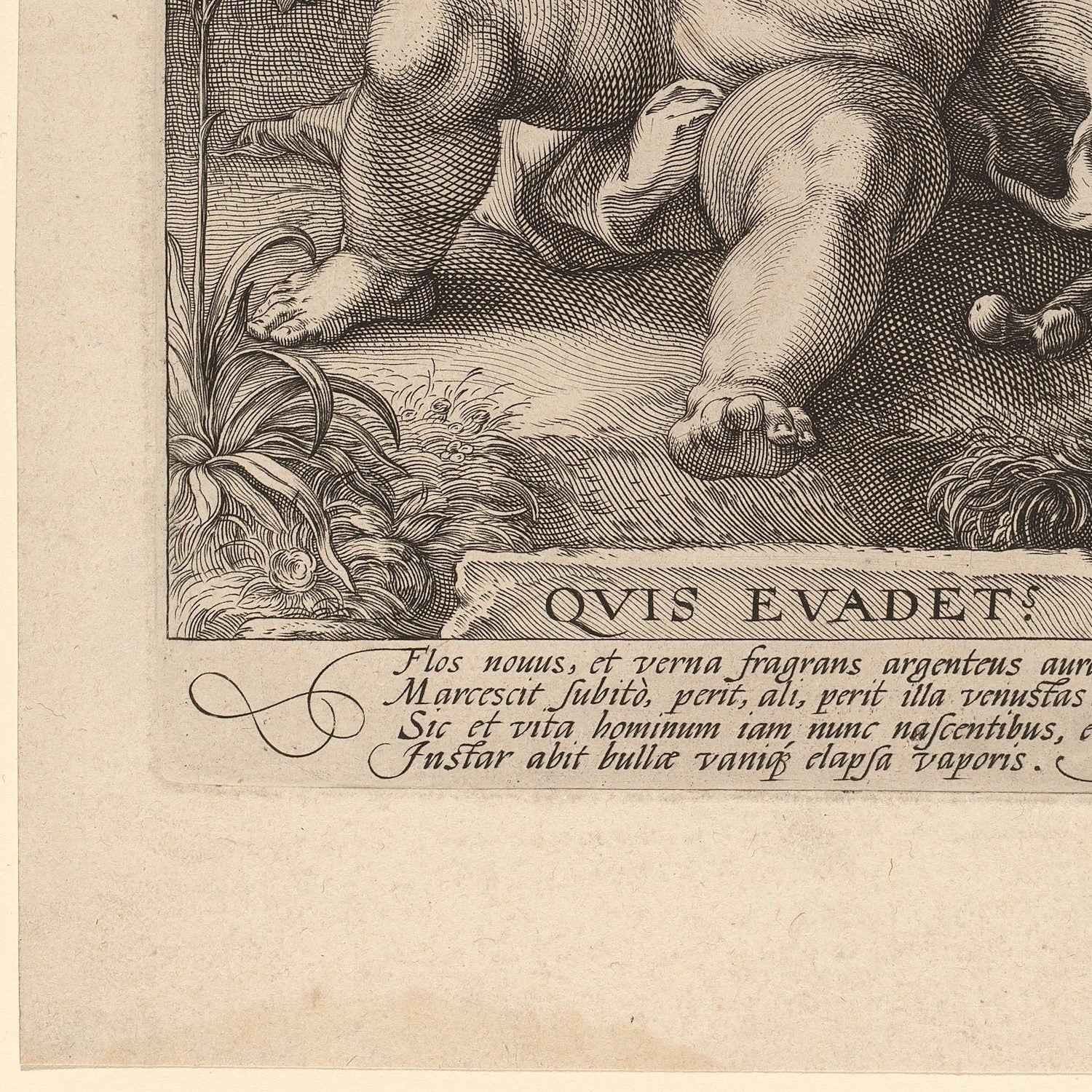 detail of the drawing reproduction from the bottom left corner