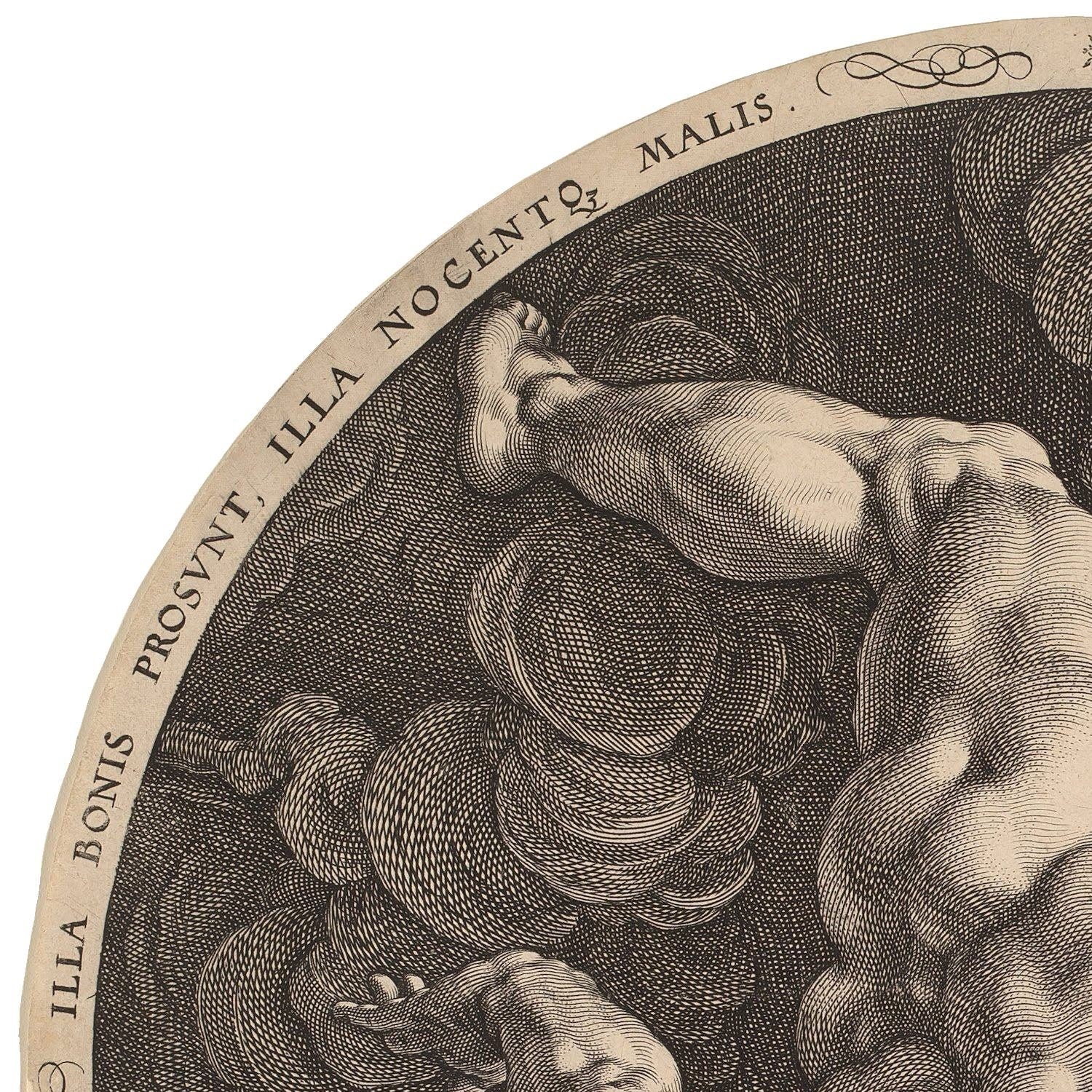 detail of the drawing reproduction from the top left corner