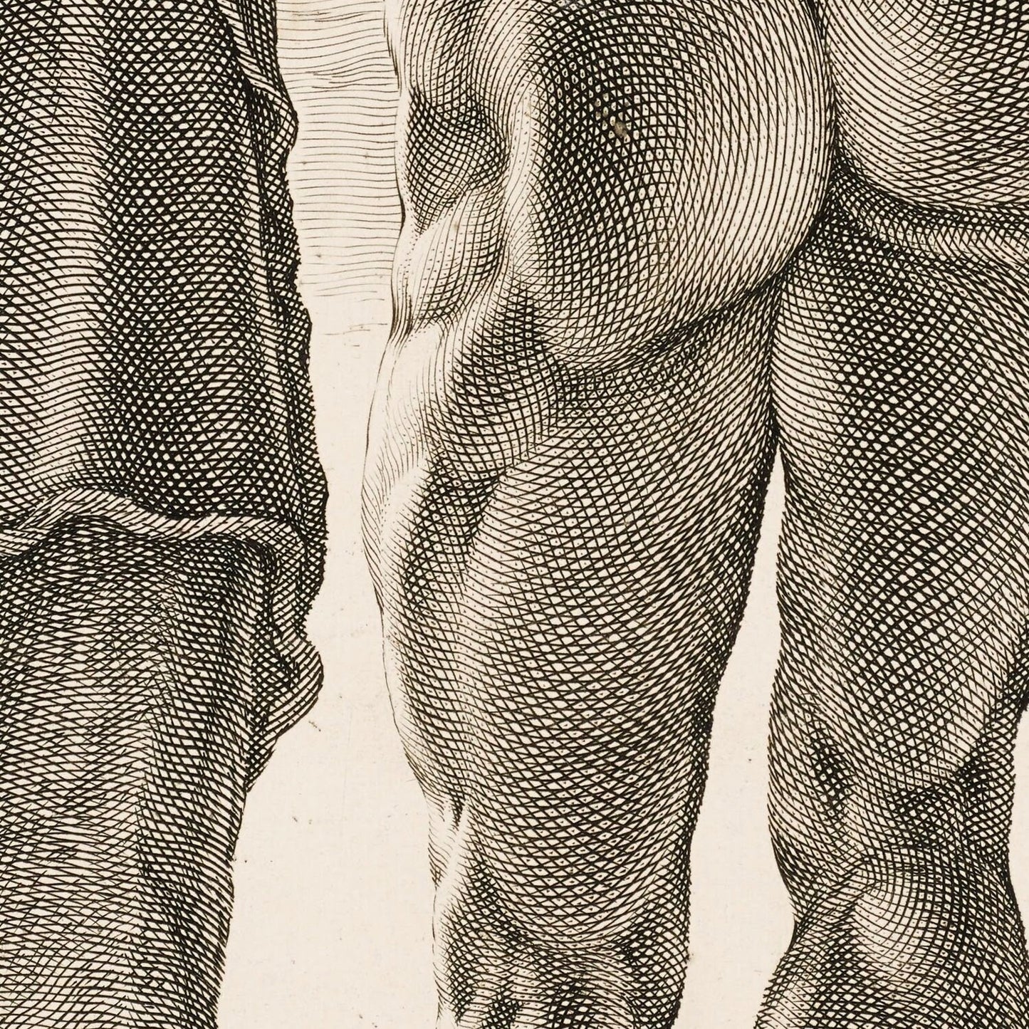 detail of the drawing reproduction from the centre 