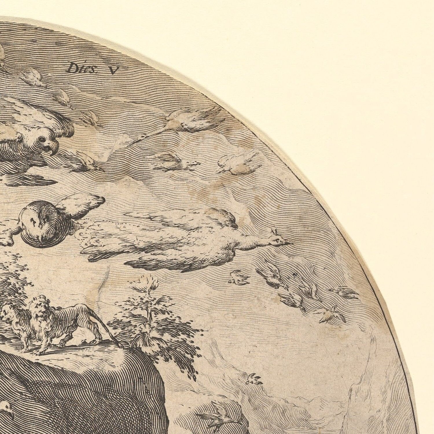 detail of the drawing reproduction from the top right corner