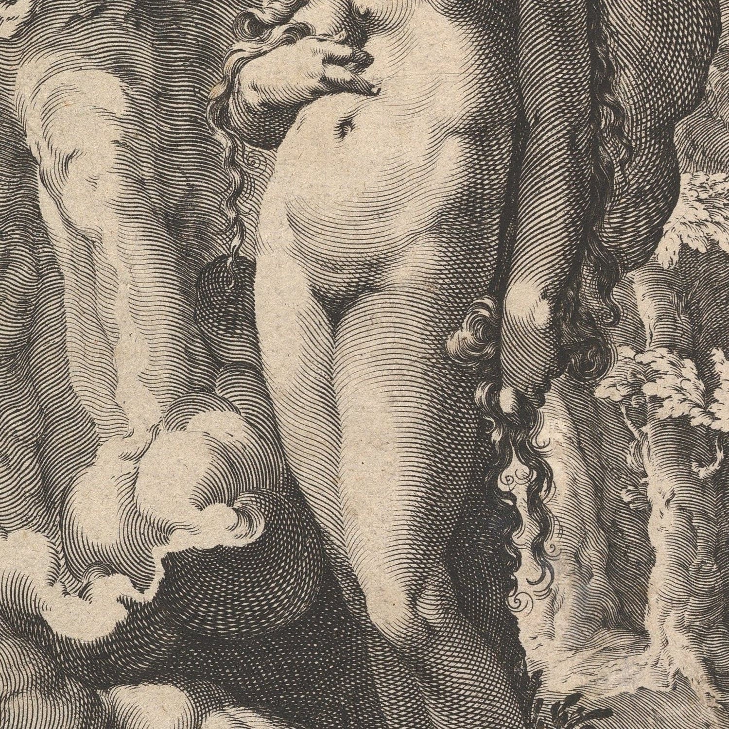 detail of the drawing reproduction from the centre 