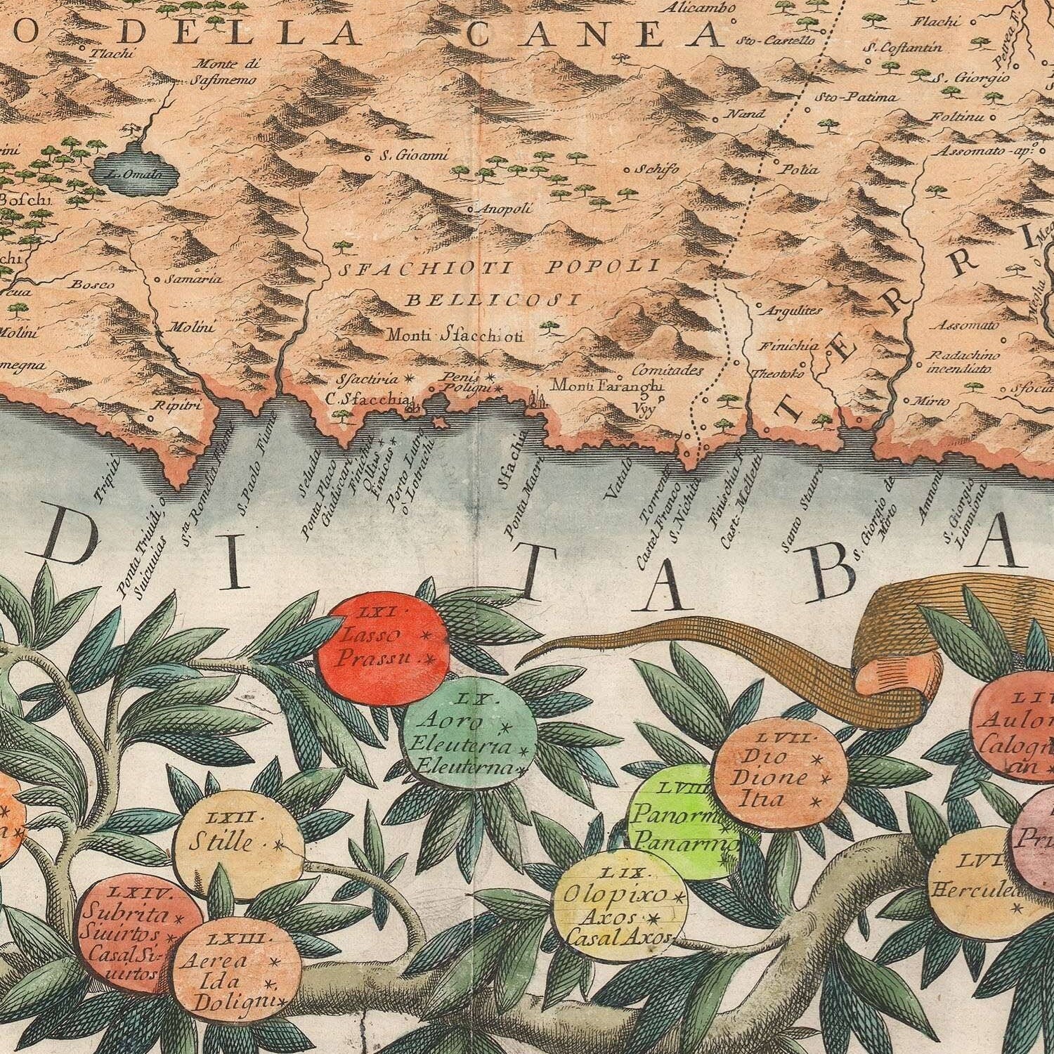 detail of the map from the centre left