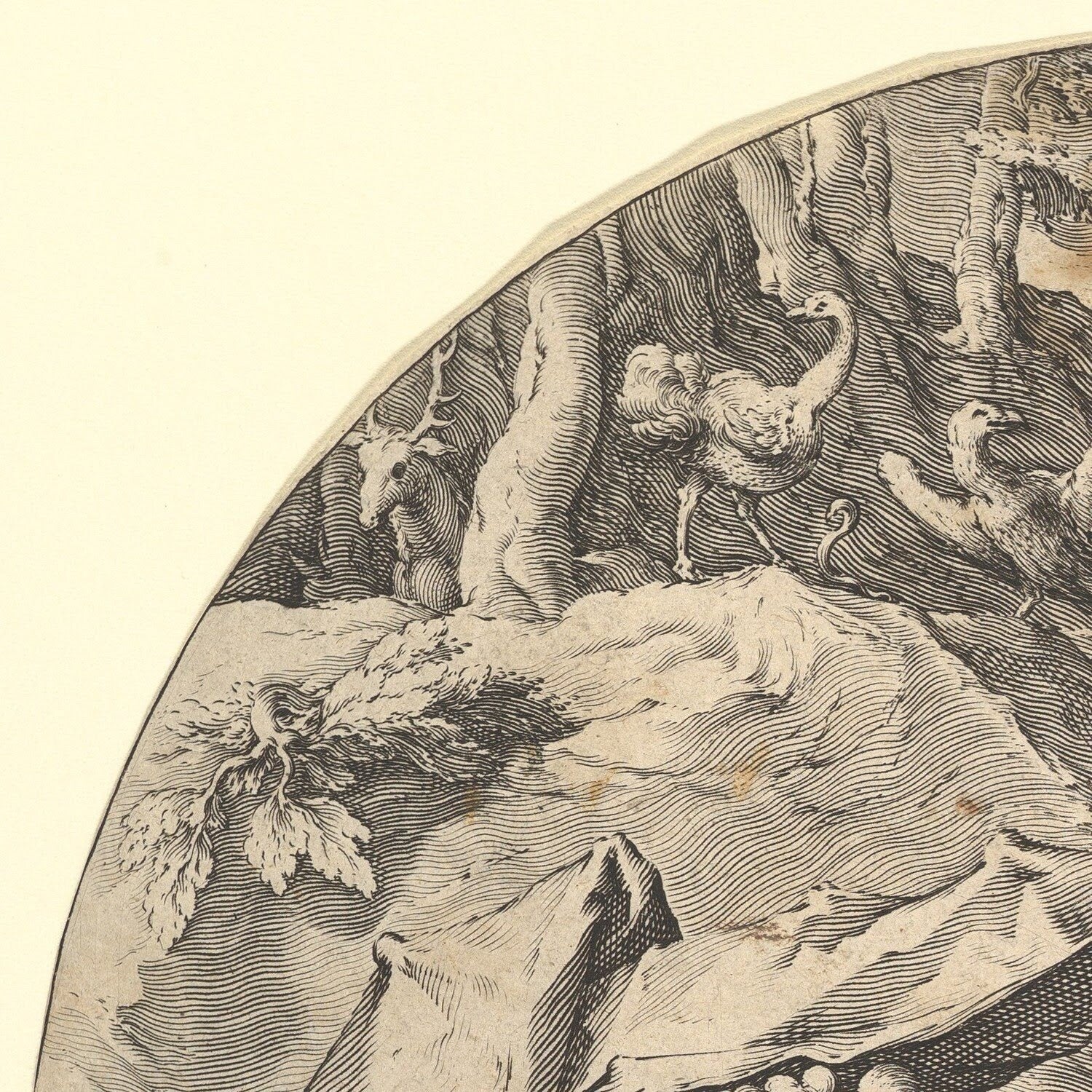 detail of the drawing reproduction from the top left corner