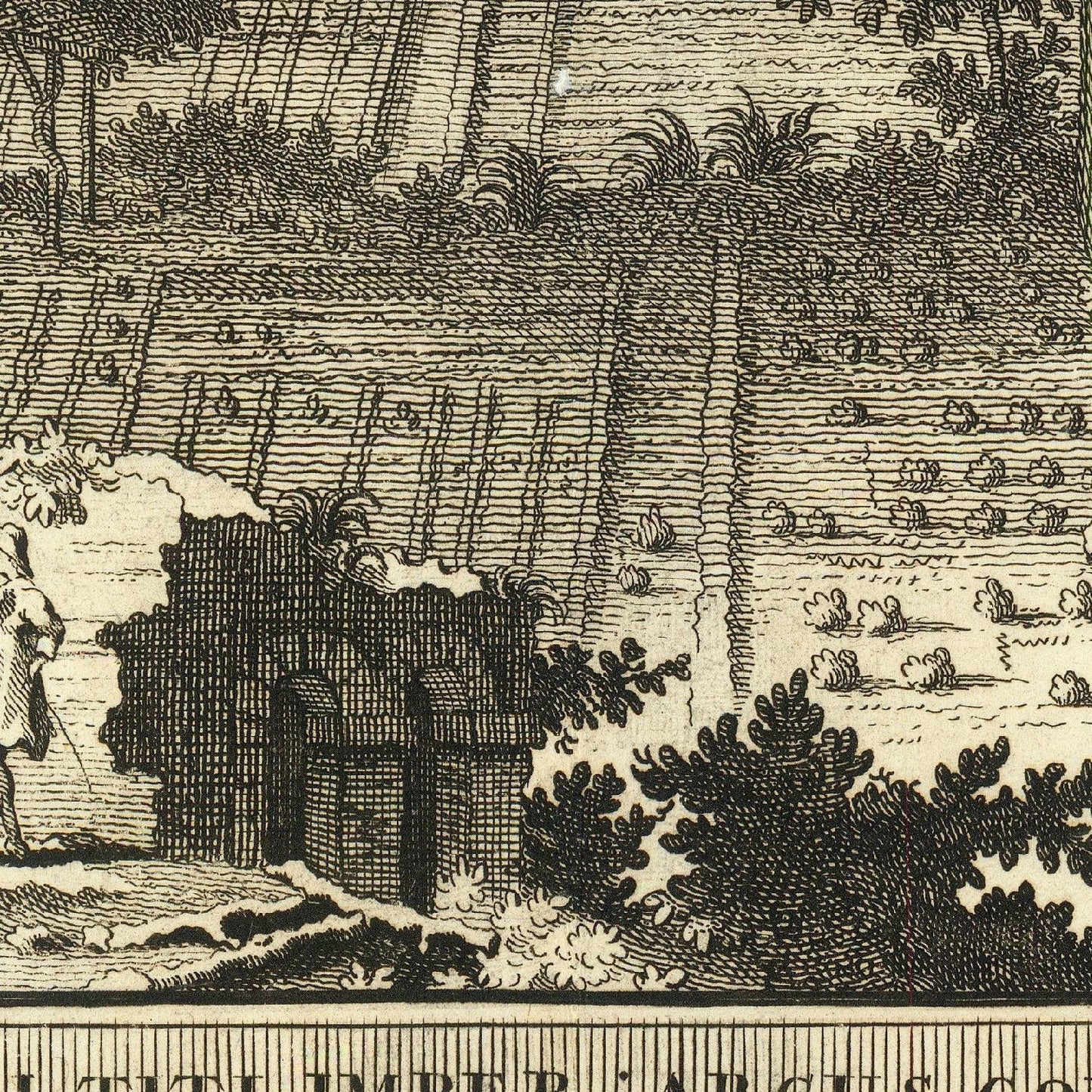 detail of the drawing reproduction from the centre 