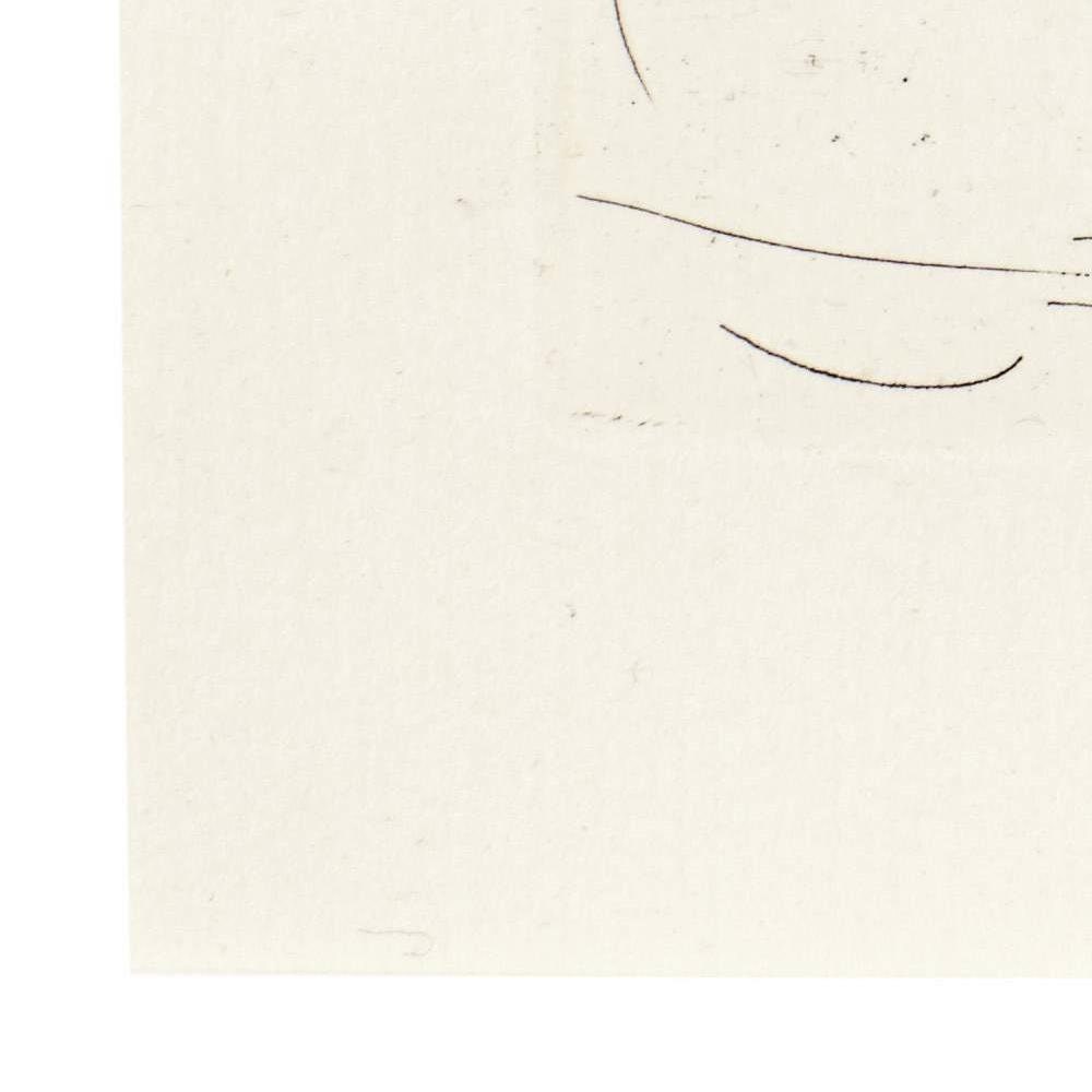 detail of the drawing reproduction from the bottom left corner