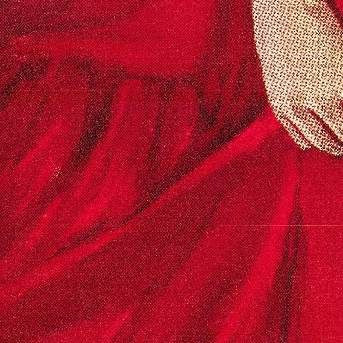 detail of the drawing reproduction from the centre 