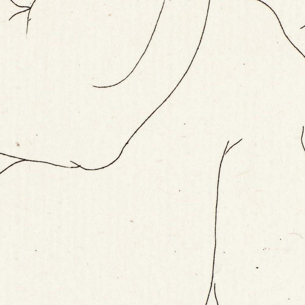 detail of the drawing reproduction from the centre 