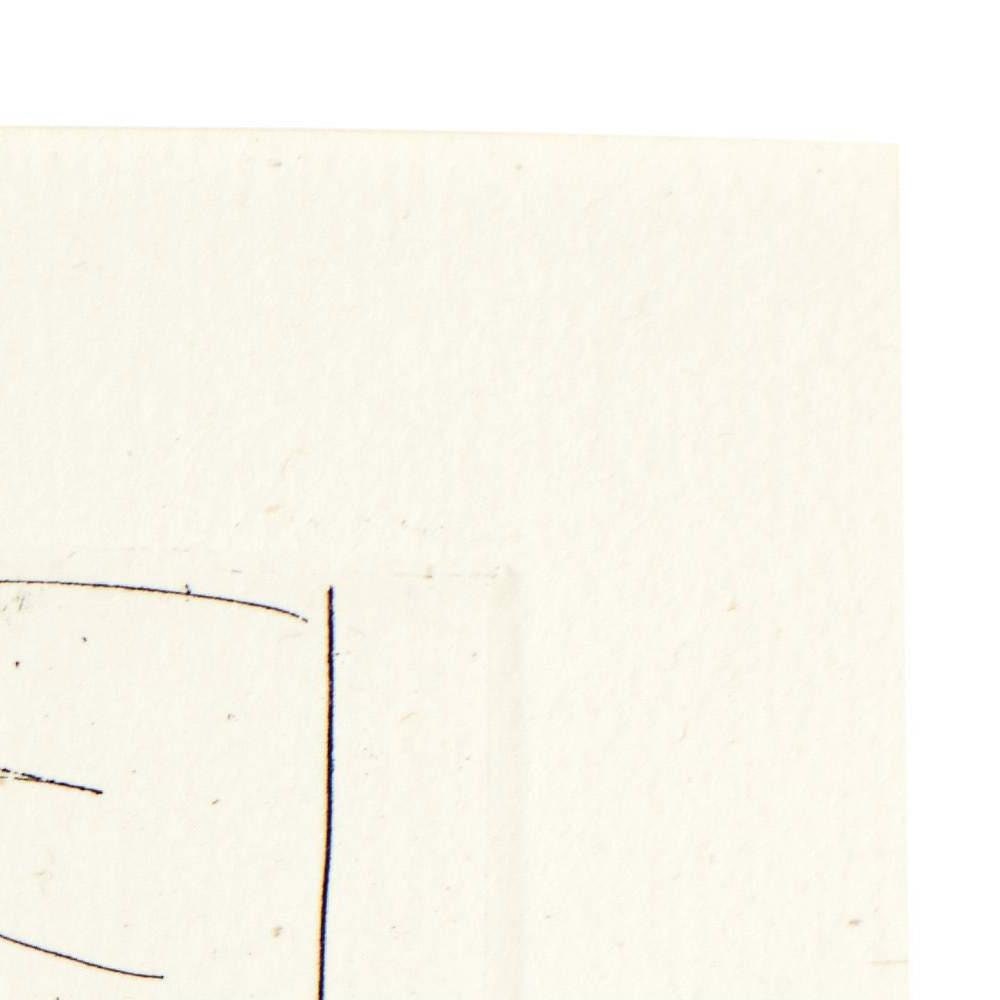 detail of the drawing reproduction from the top right corner