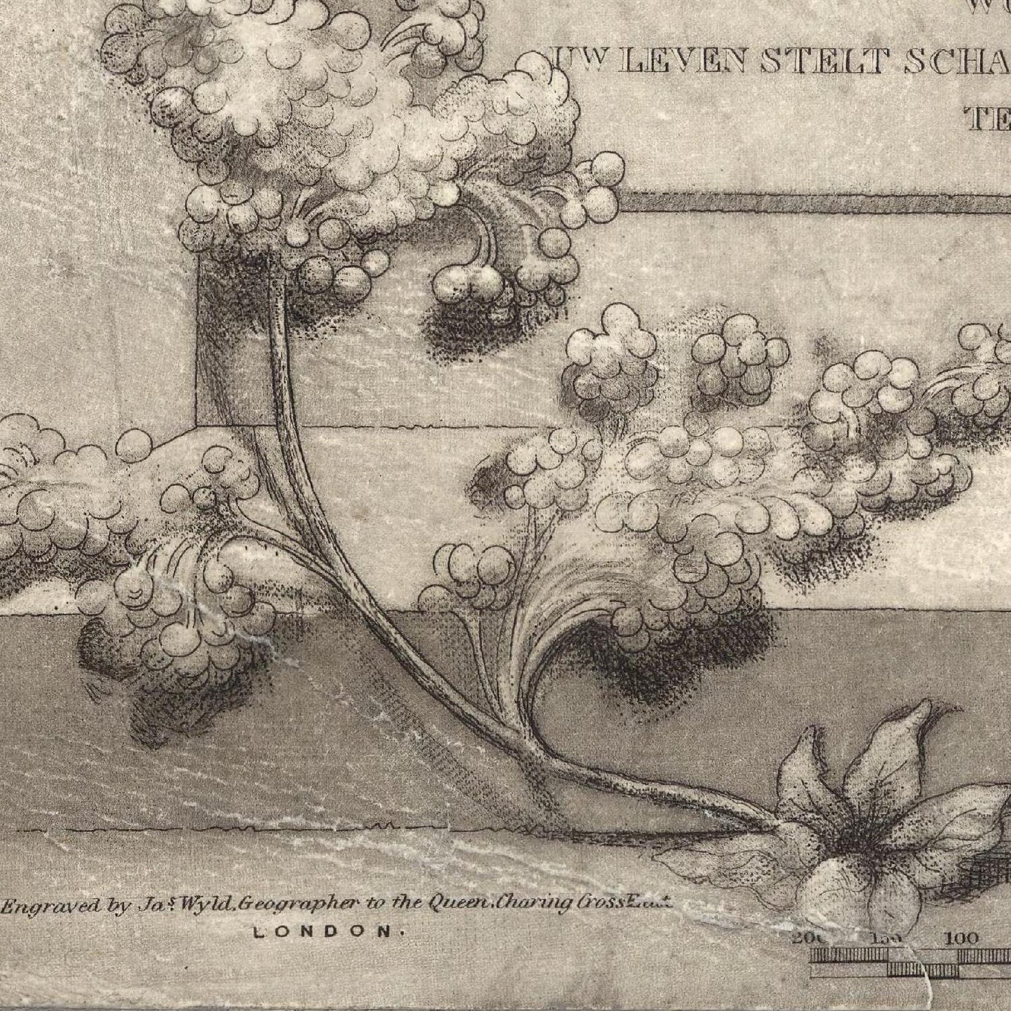 detail of the map from the bottom left corner