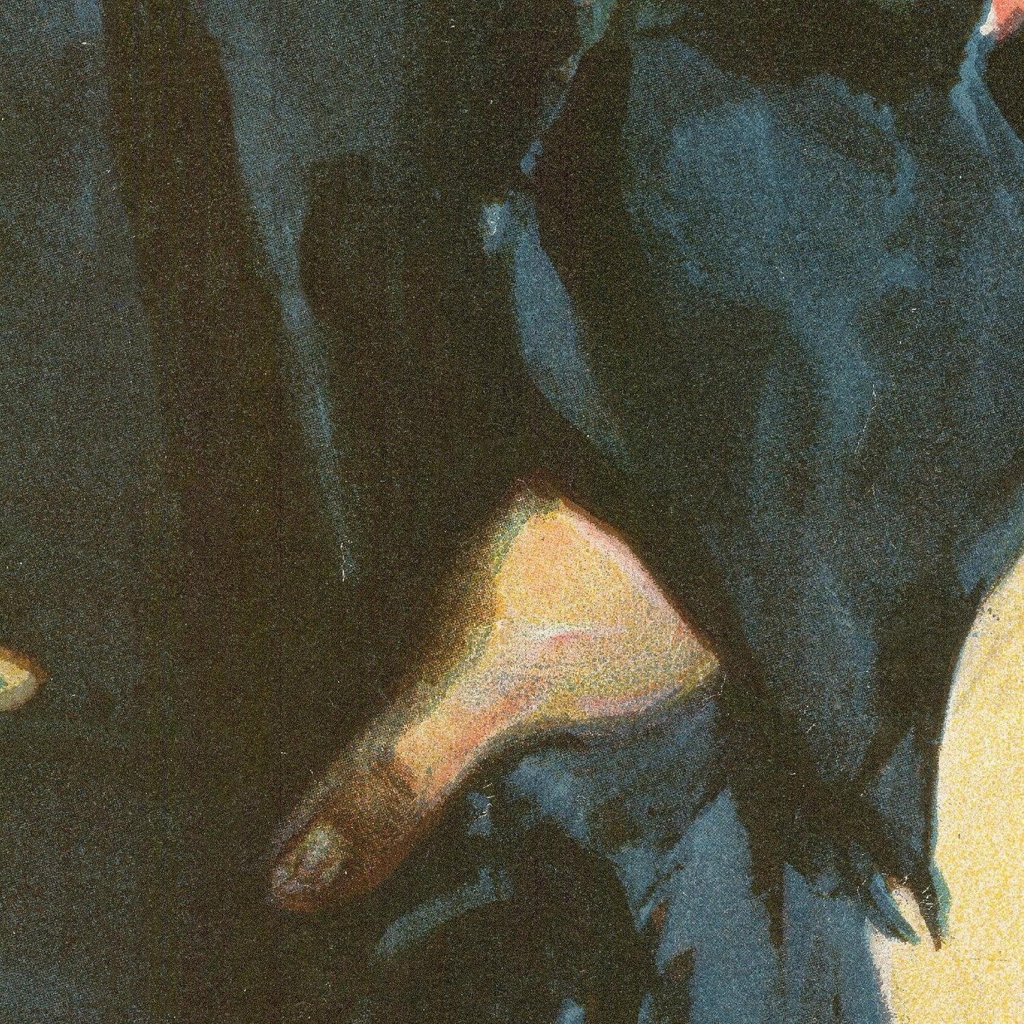 detail of the drawing reproduction from the centre 